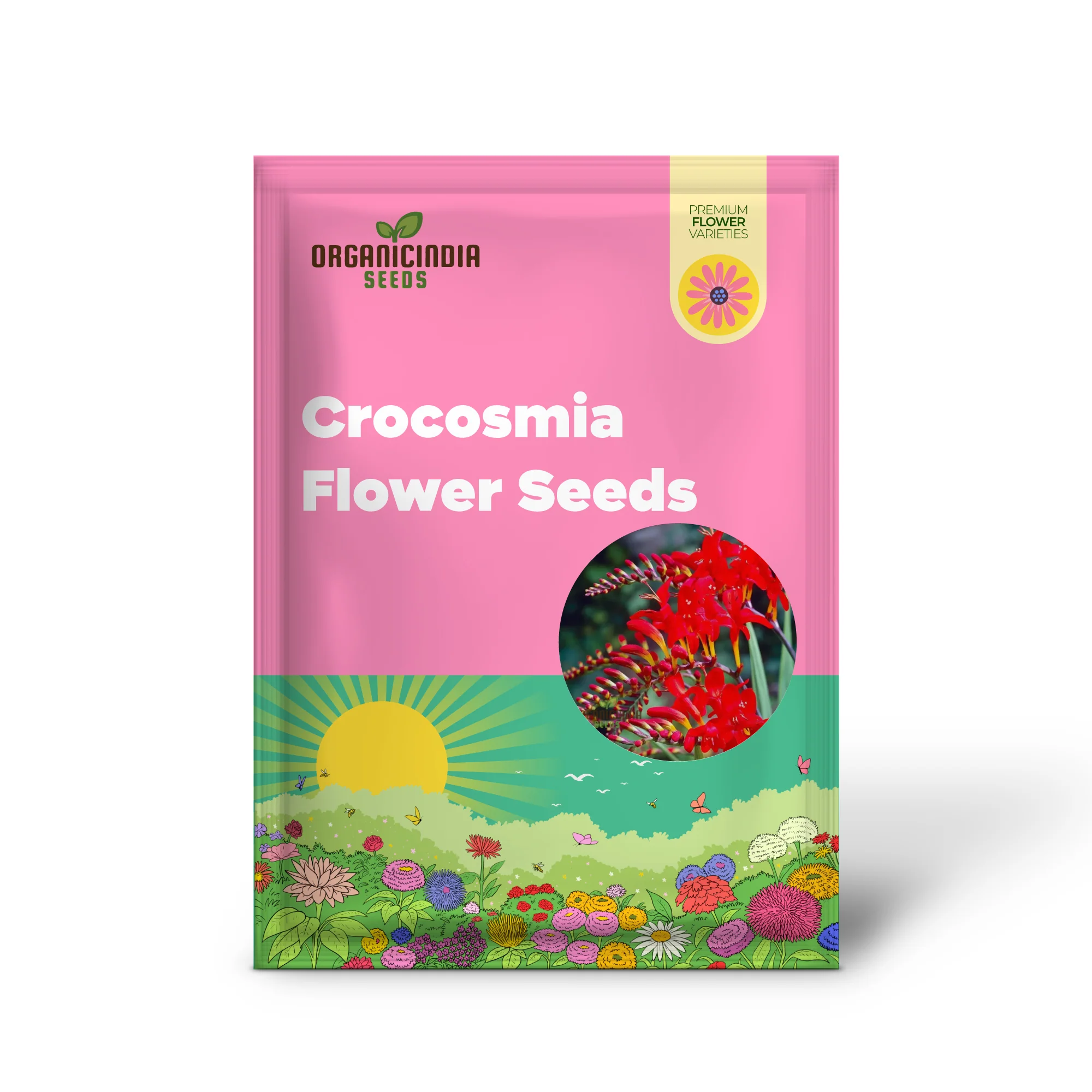 Crocosmia Red Flower Seeds for Vibrant Gardening  Perfect for Enthusiasts and Seasoned Gardeners Alike - Image 2
