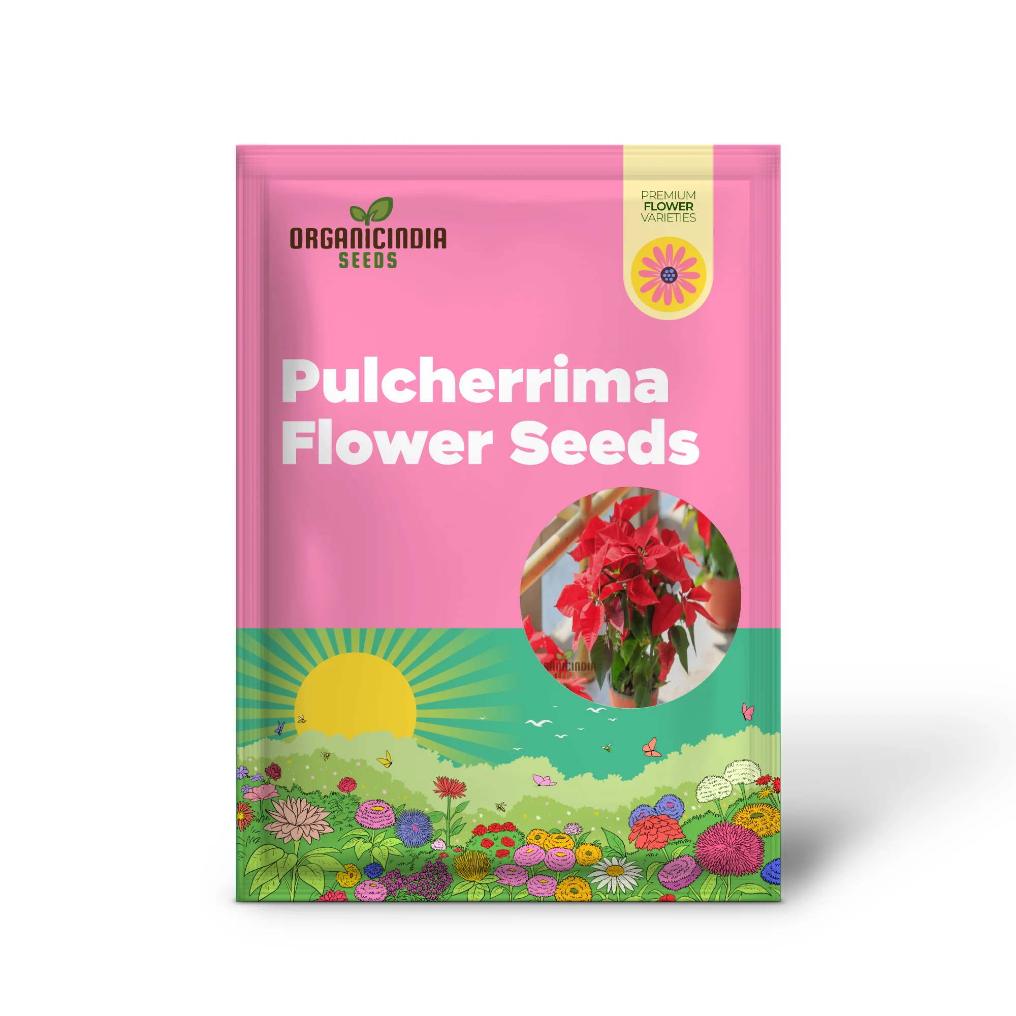 Premium Euphorbia Pulcherrima Flower Seeds for Planting- Grow Your Own Stunning Poinsettia Blooms - Image 2