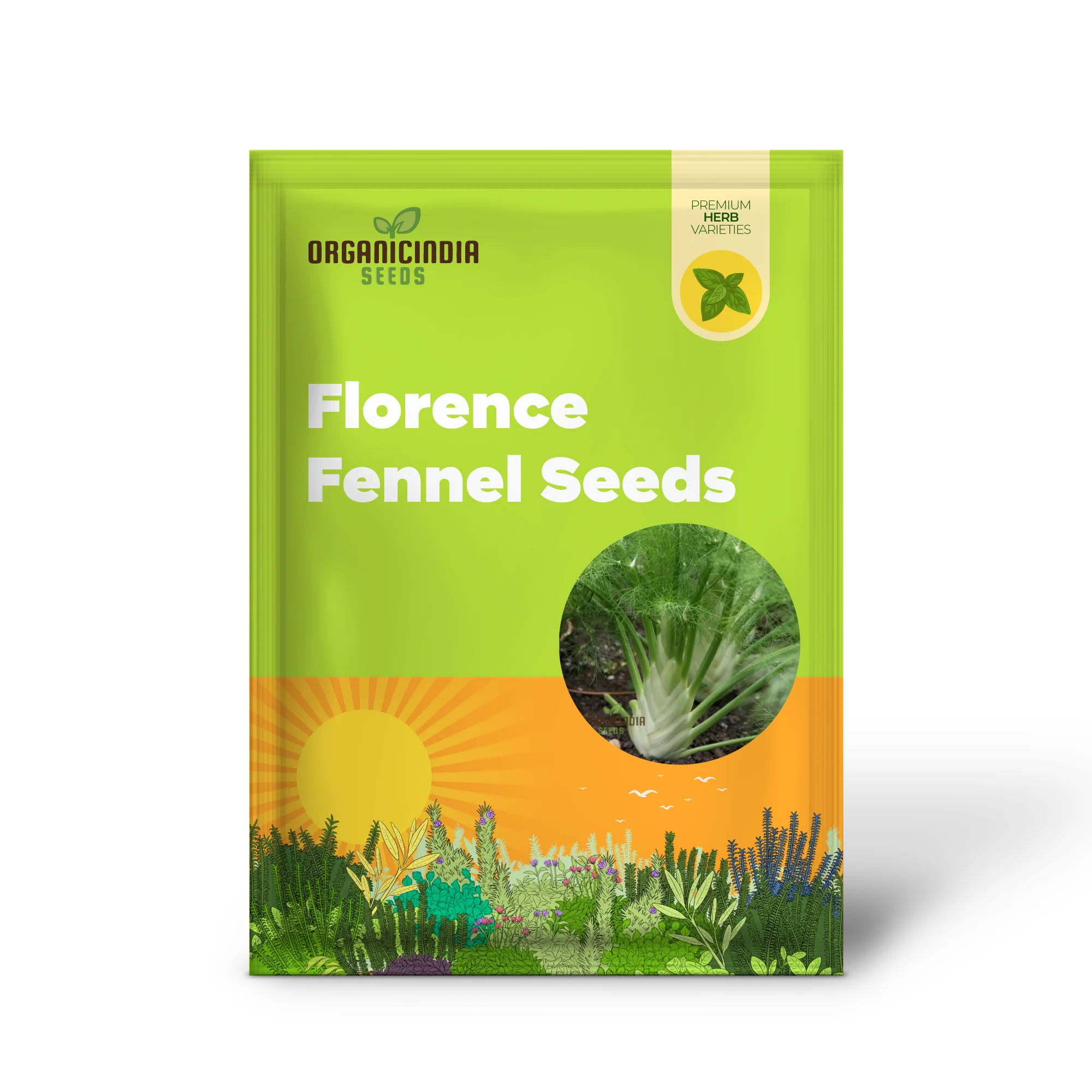 Florence Fennel Seeds – Premium Bulb Fennel for Fresh, Flavorful Home Gardening - Image 2