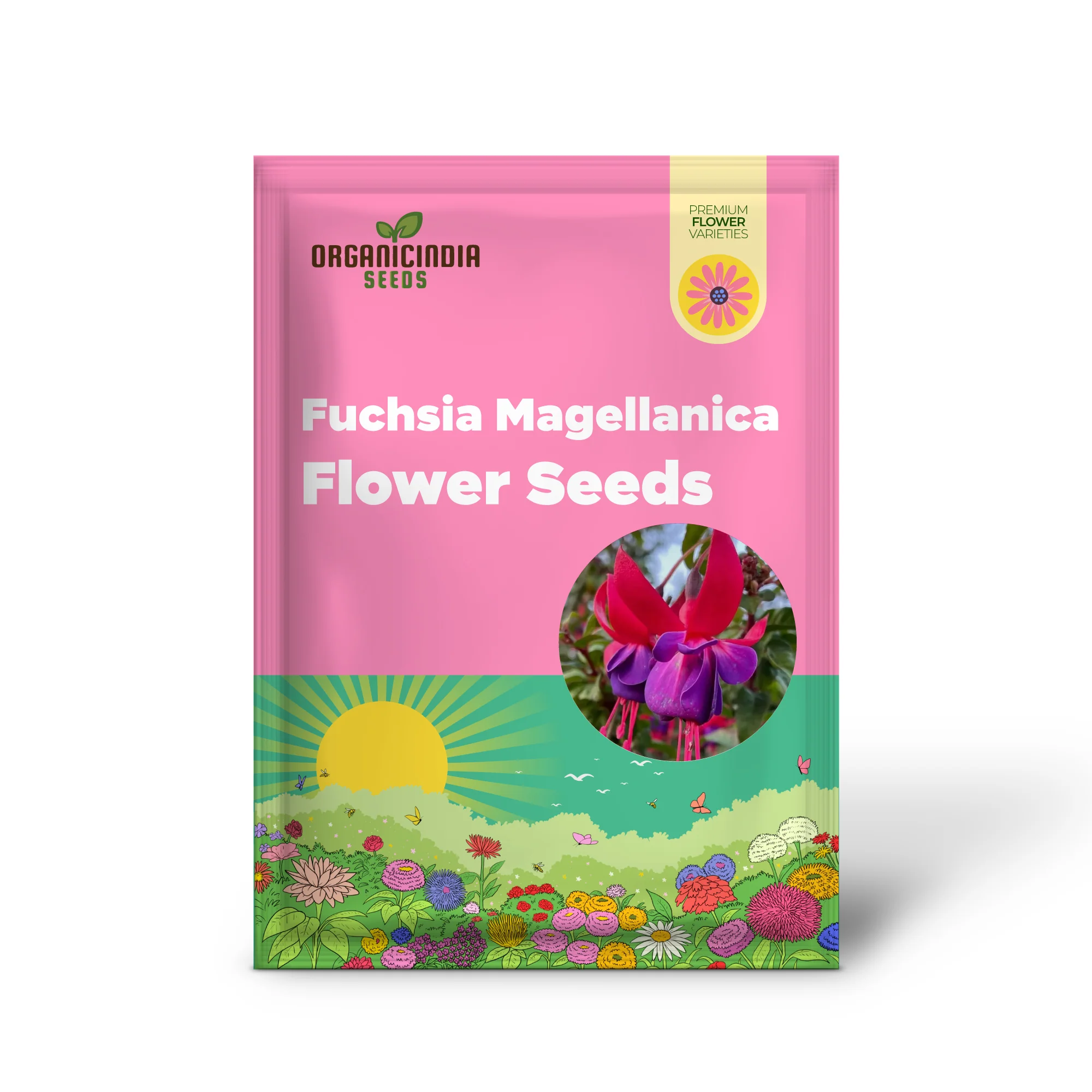 Fuchsia Seeds (Premium Fuchsia Magellanica Seeds) - Hardy Perennial for Vibrant Gardens - Image 2