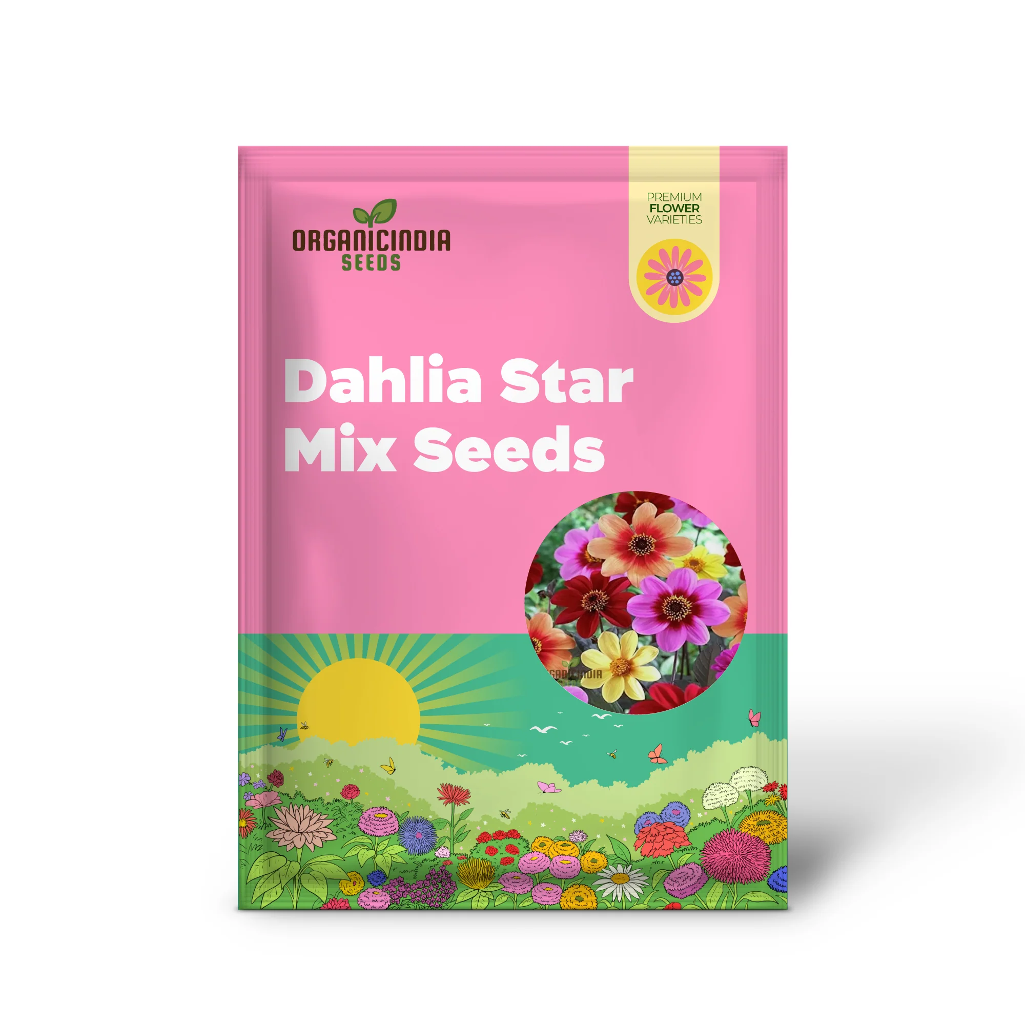 Premium NM Dahlia Top Star Beauty Mix Seeds for Gardening Enthusiasts - Vibrant Flower Varieties for Your Garden - Image 2