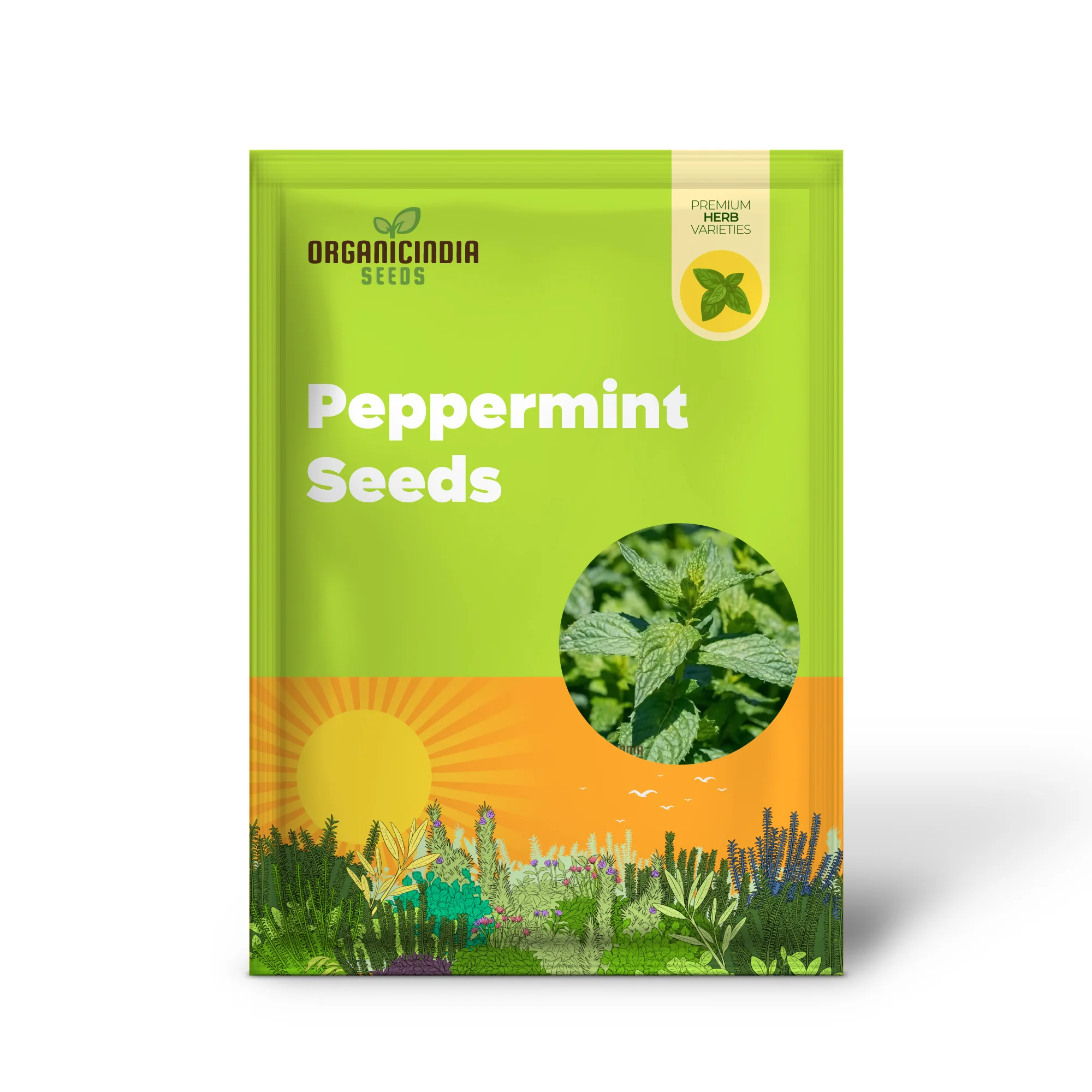 Premium Peppermint Seeds for Planting – High-Quality, Refreshing Mint Variety - Image 2