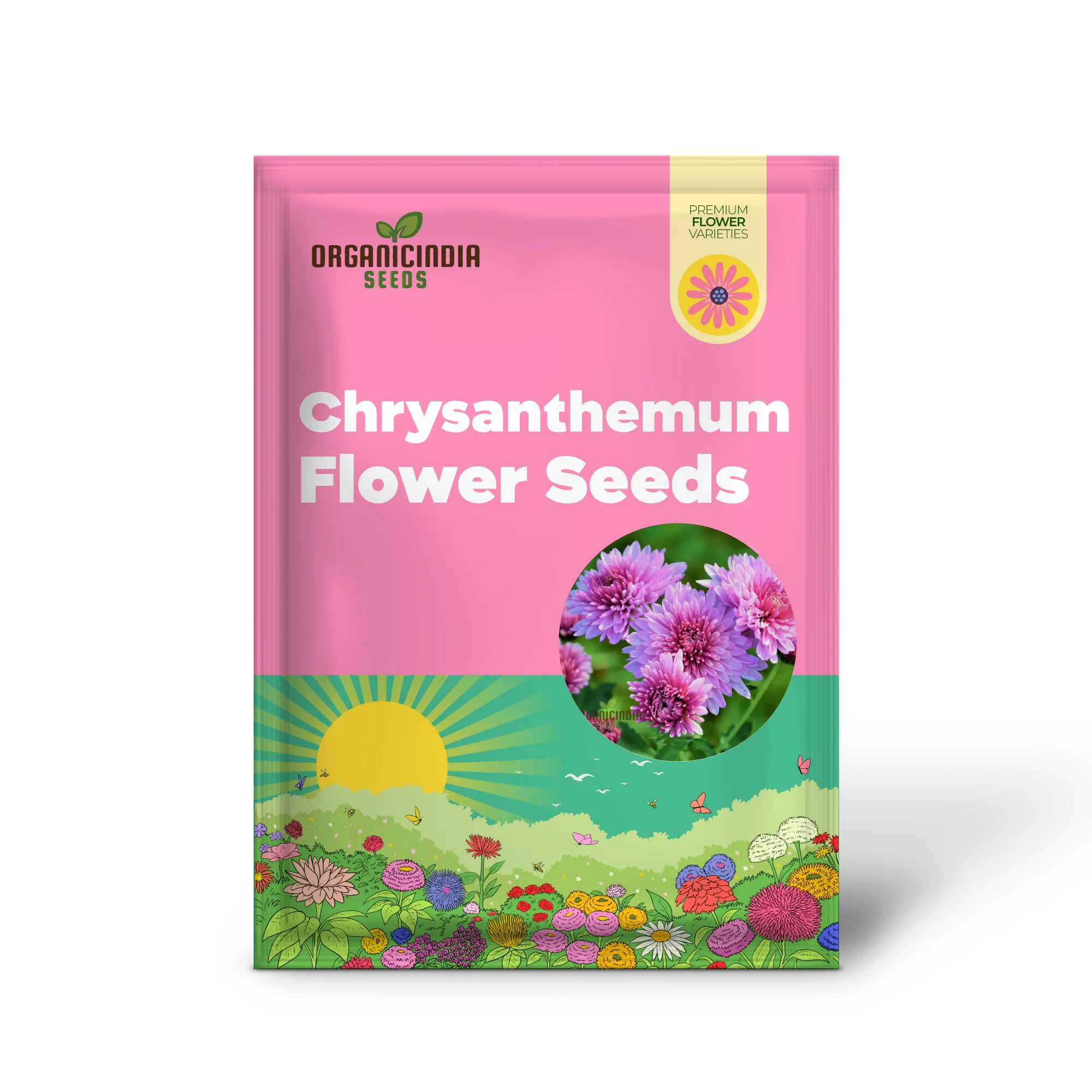 Premium Pink Chrysanthemum Flower Seeds: Grow Your Garden with Vibrant Blooms - Exceptional Quality Gardening Seeds - Image 2