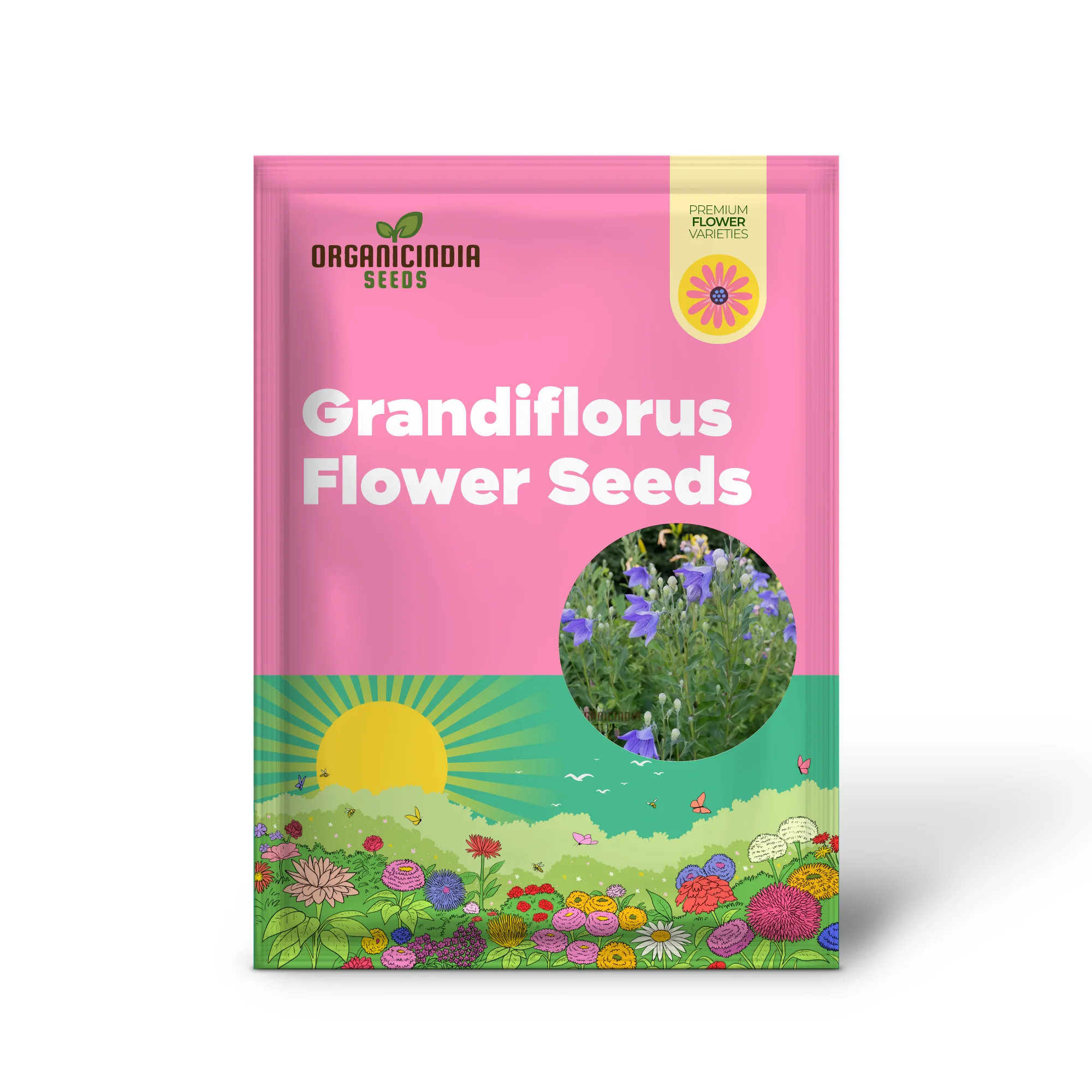 Platycodon Grandiflorus Seeds – Balloon Flower for Garden Planting - Image 3