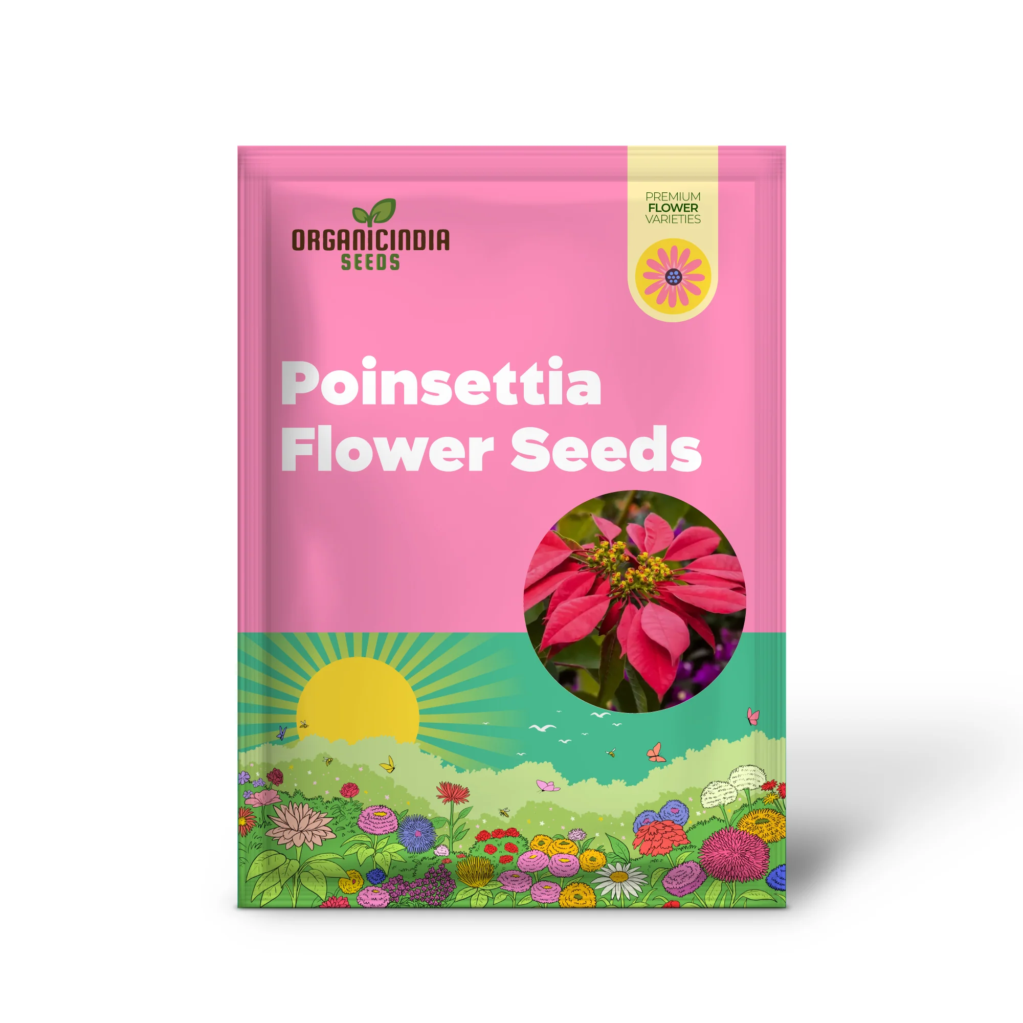 Premium Poinsettia Flower Seeds for Organic Planting, High-Quality Organic Seeds - Image 5
