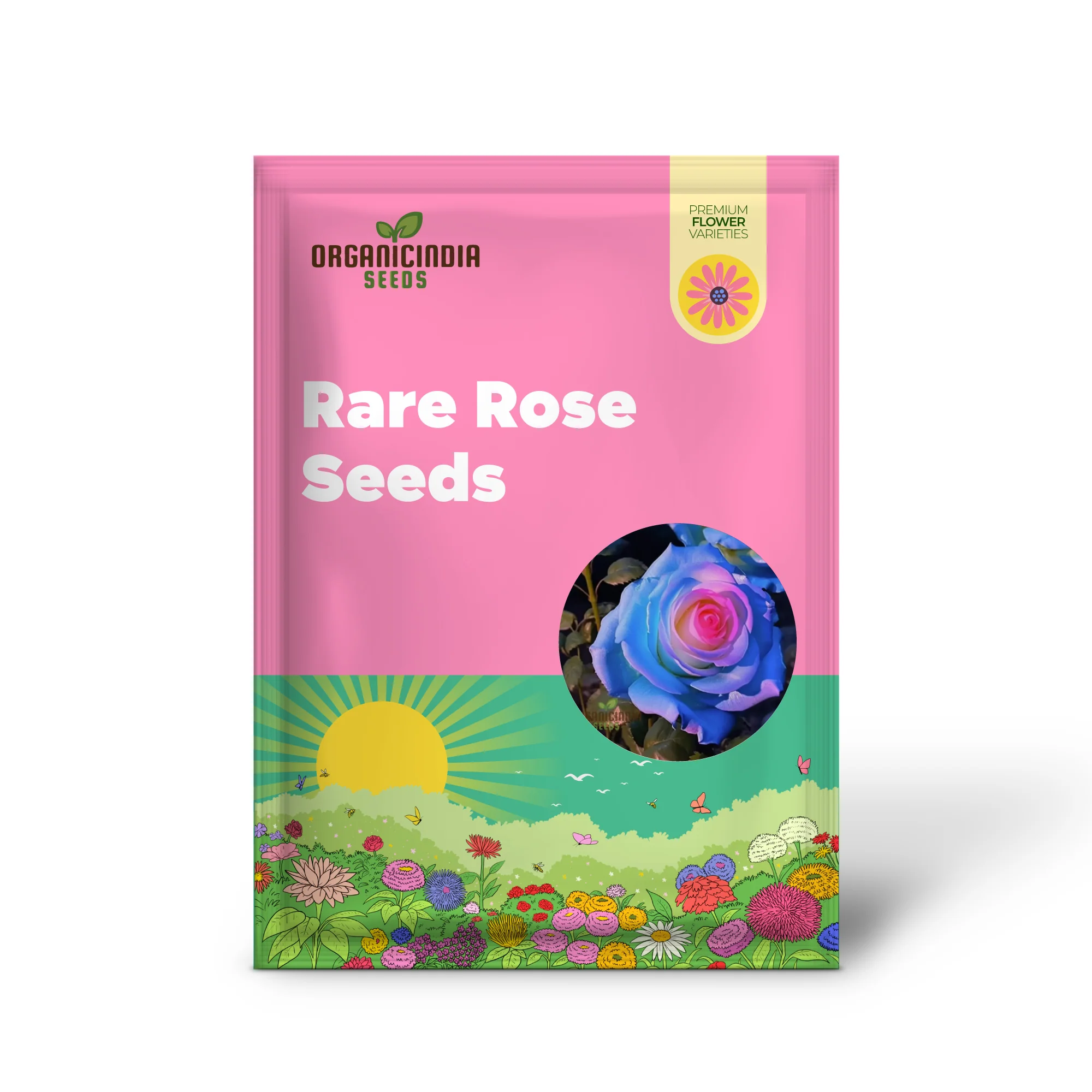 Rose Flower Seeds for Planting – Mixed Color Garden Blooms for Outdoor Landscaping - Image 2
