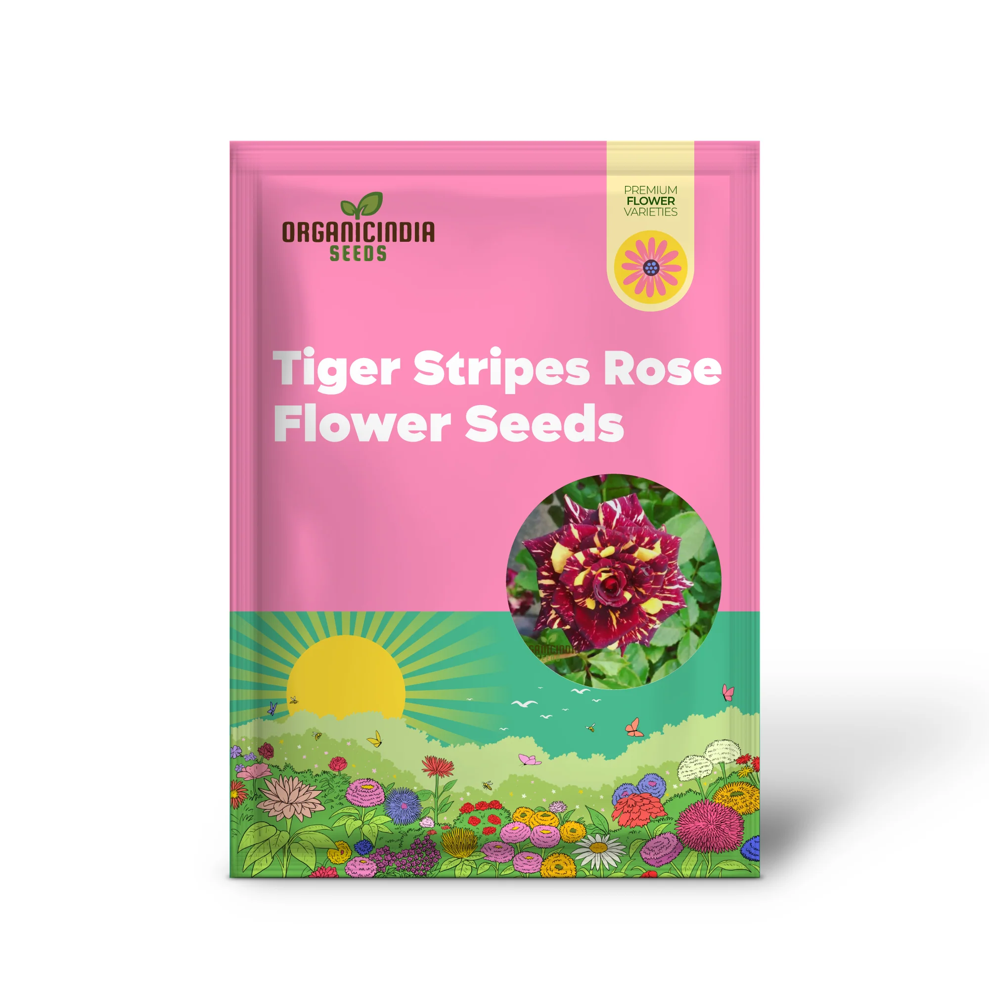 Premium Tiger Stripes Rose Flower Seeds for Lush, Vibrant Gardens, Unique Striped Rose Seeds for Home Gardeners - Image 2