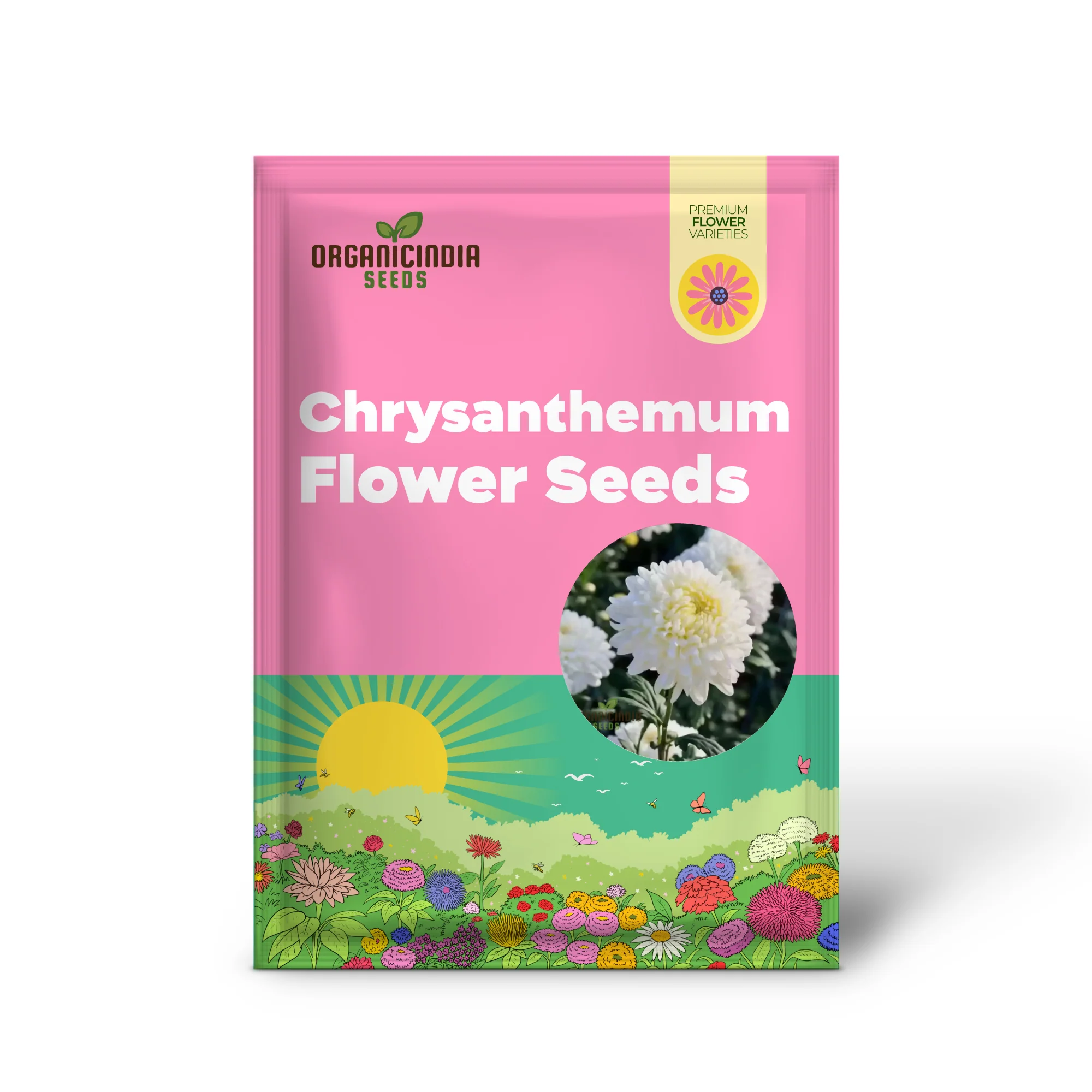 White Chrysanthemum Flower Seeds for Gardening Enthusiasts - Perfect for Your Blooming Garden - Image 2