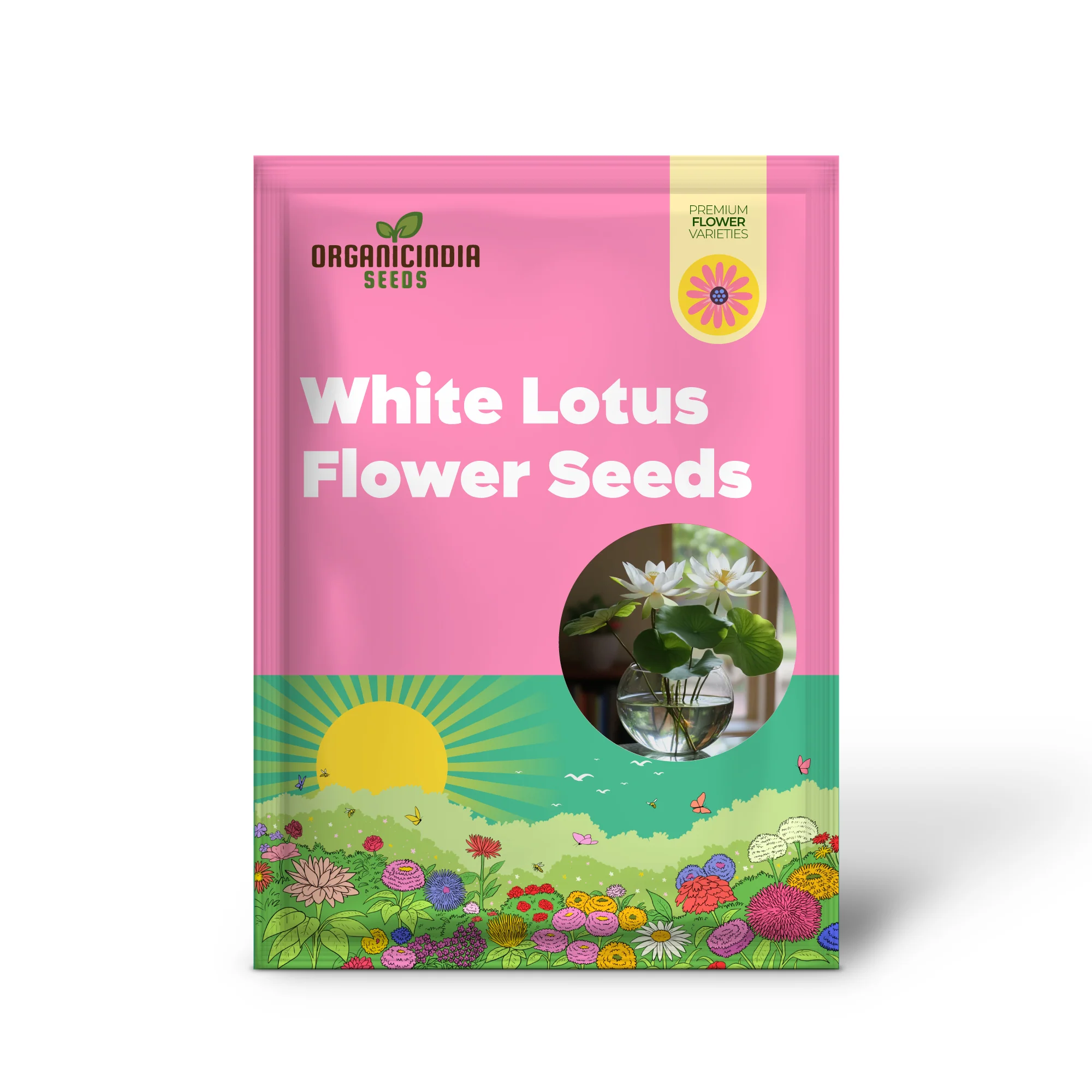Premium White Lotus Seeds, Grow Beautiful Lotus Flowers - Image 2