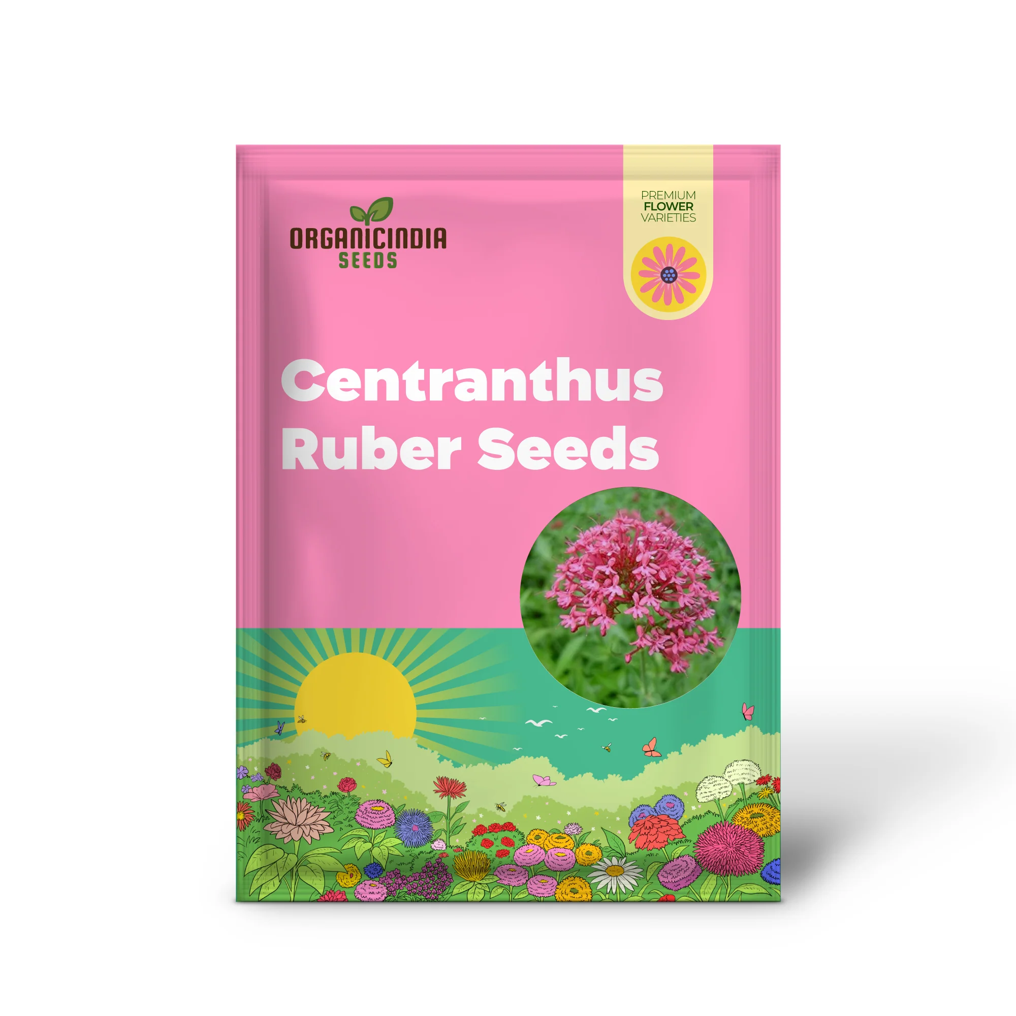 Pretty Betsy Centranthus Ruber Var Coccineus Seeds, Planting - Image 2