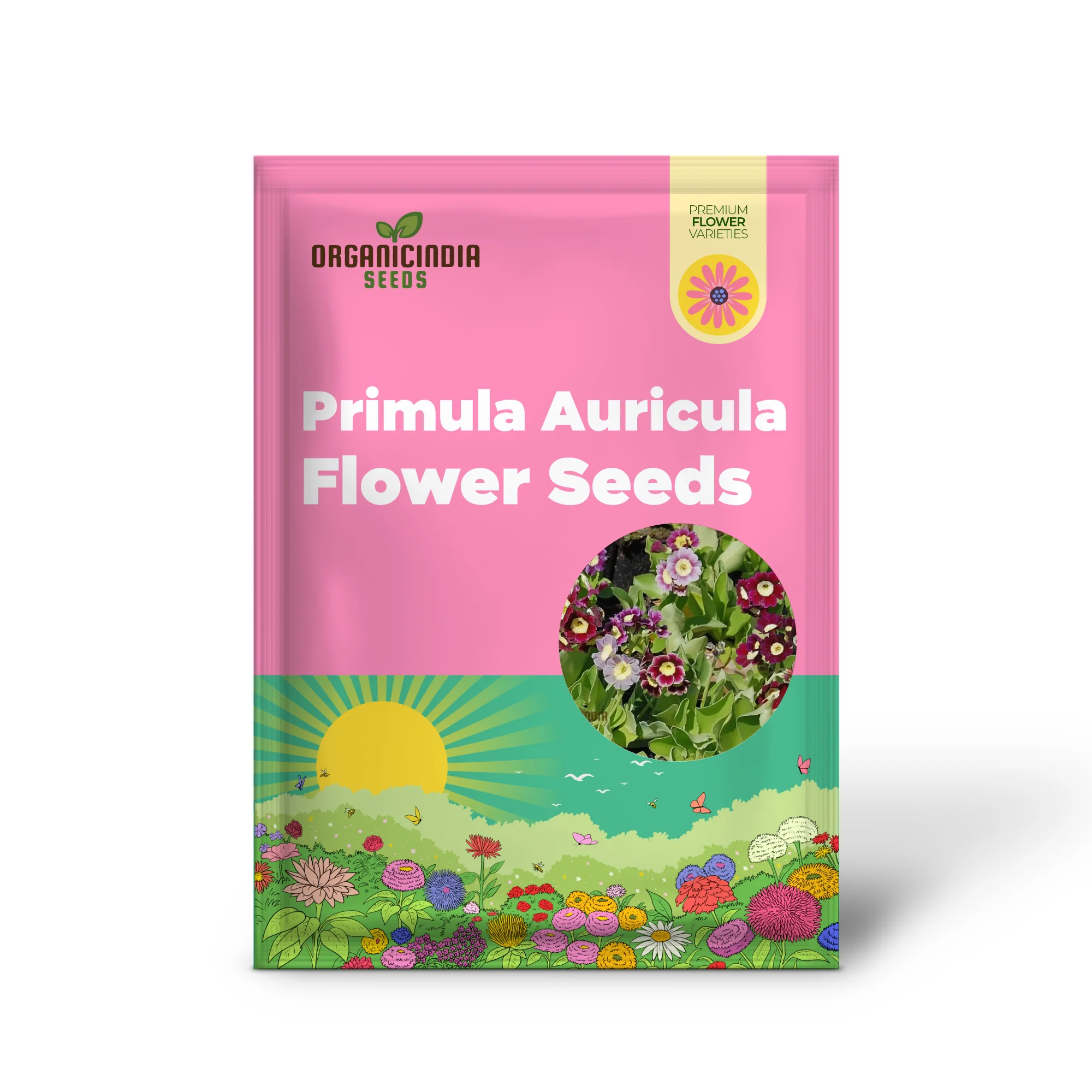 Primula Auricula Mixed Colours Flower Seeds For Planting, A Rainbow of Alpine Blooms for Your Garden - Image 2