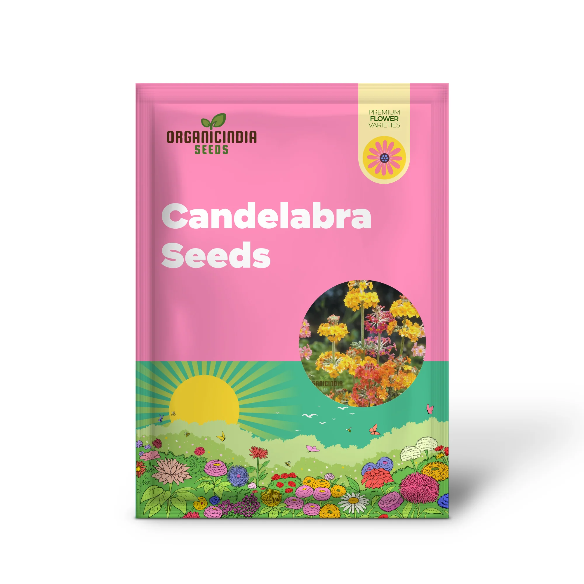 Primula Candelabra Mixed Seeds - Cultivate a Stunning Array of Colors with Candelabra Mixed Primula in Your Garden - Image 2