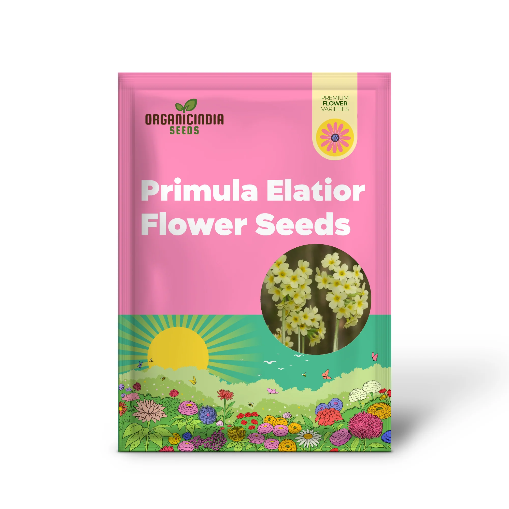 Primula Elatior Flower Seeds For Planting, Elevating Elegance in Your Garden - Image 2