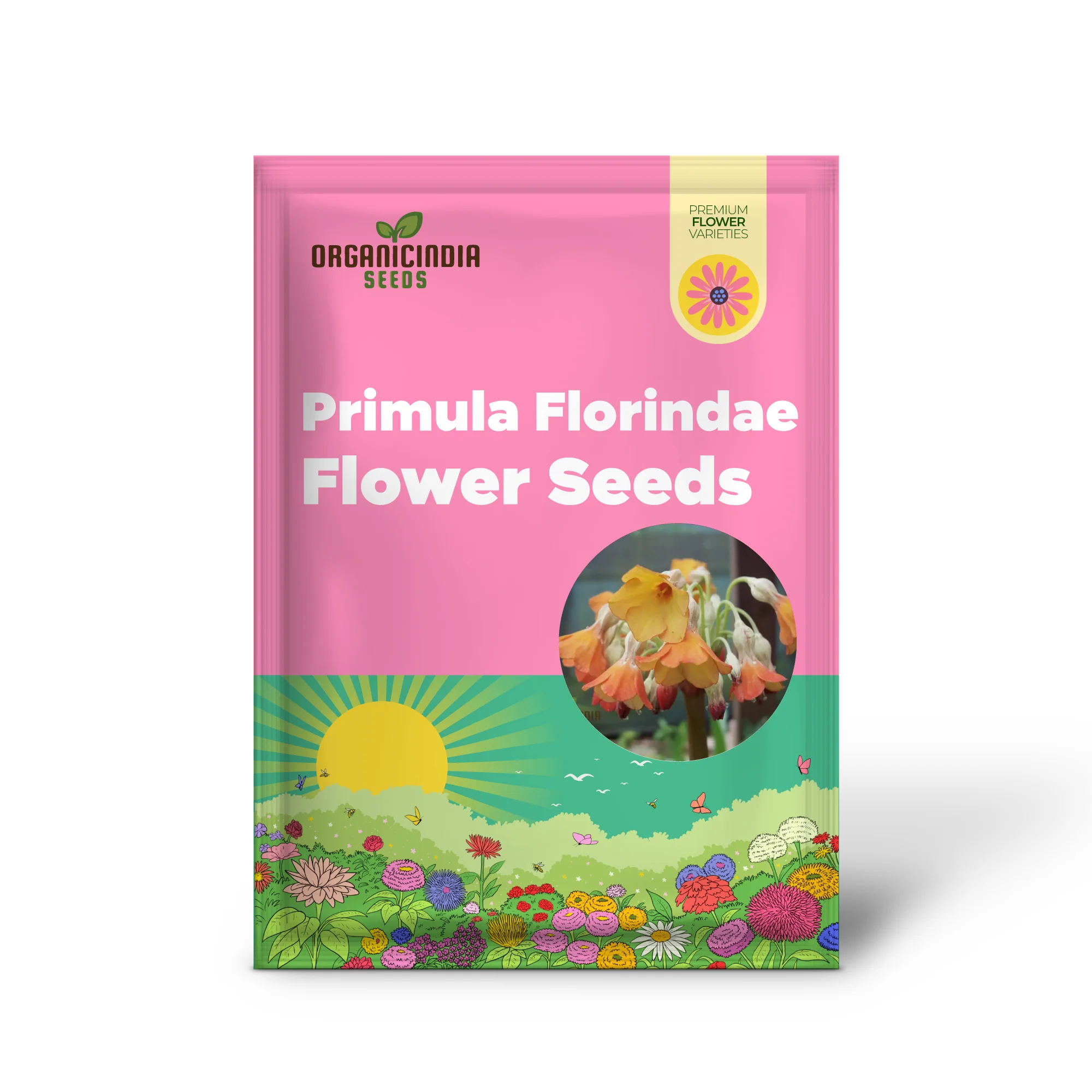 Primula Florindae Orange Flower Seeds For Planting, Adding Vibrant Color to Your Garden - Image 2