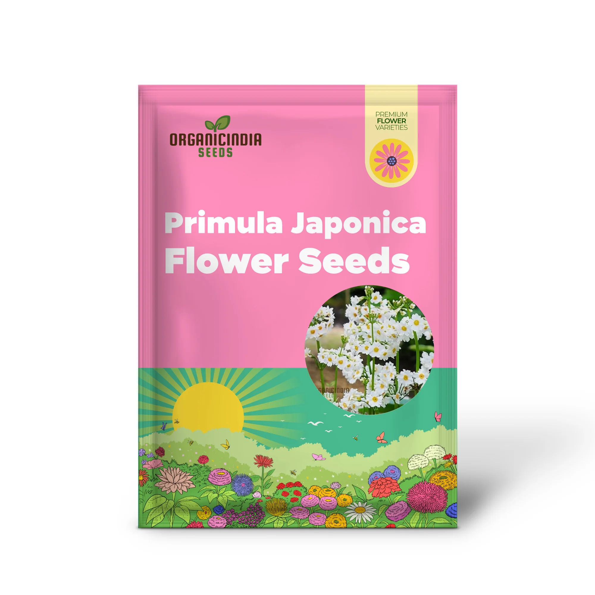 Primula Seeds (Primula Japonica âPostford Whiteâ Seeds) - Elegant White Blooms for Gardens - Image 2