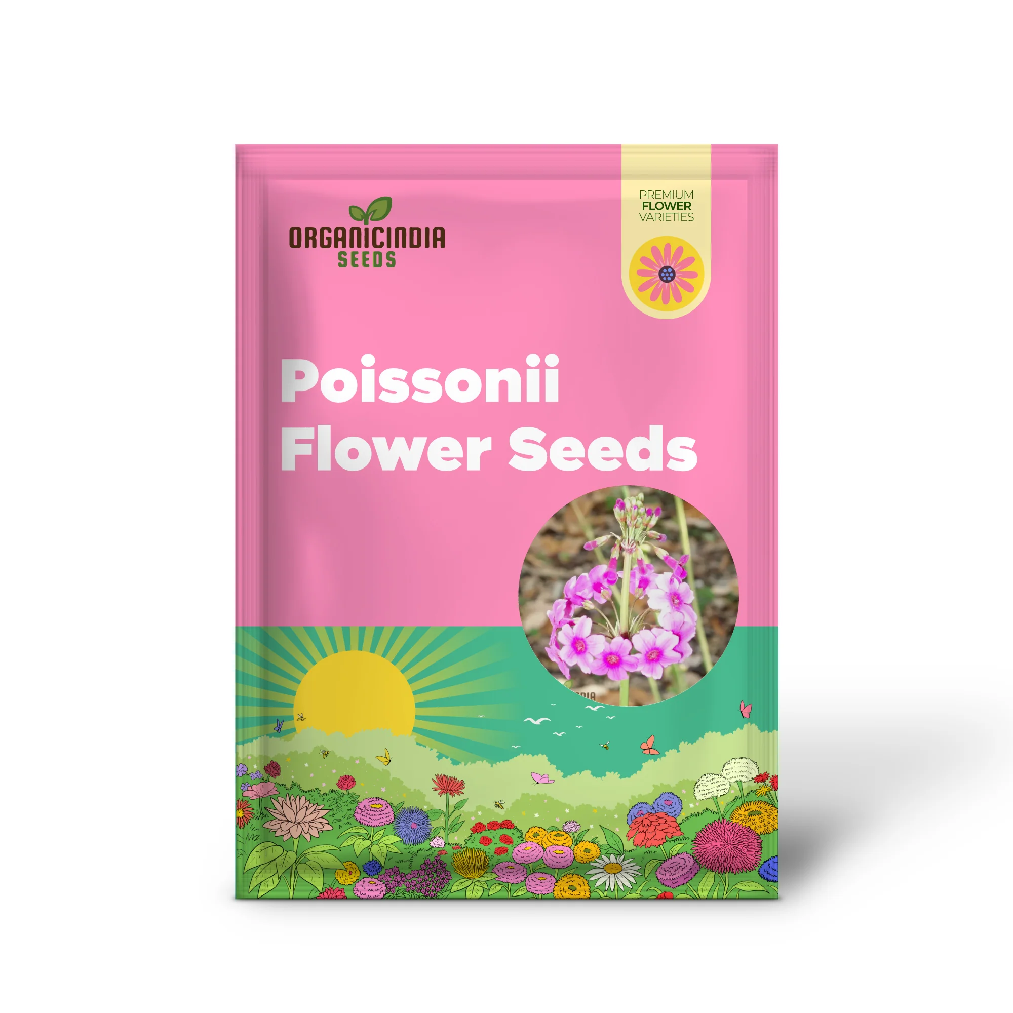 Primula Poissonii Flower Seeds For Planting, Adding Lush Purple Blooms to Your Garden - Image 2