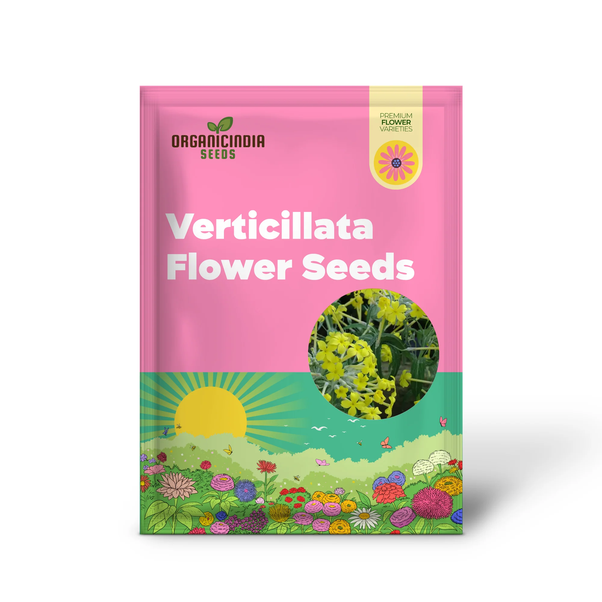 Primula Verticillata Flower Seeds For Planting, Cultivating Whorled Beauty in Your Garden - Image 2