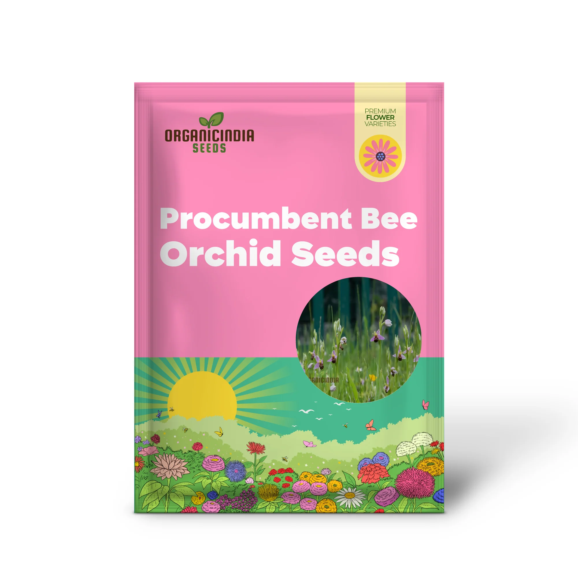 Procumbent Bee Orchid Seeds, Grow Exquisite Flowers at Home and Garden, Discover the Beauty Orchid Flower Seeds - Image 2
