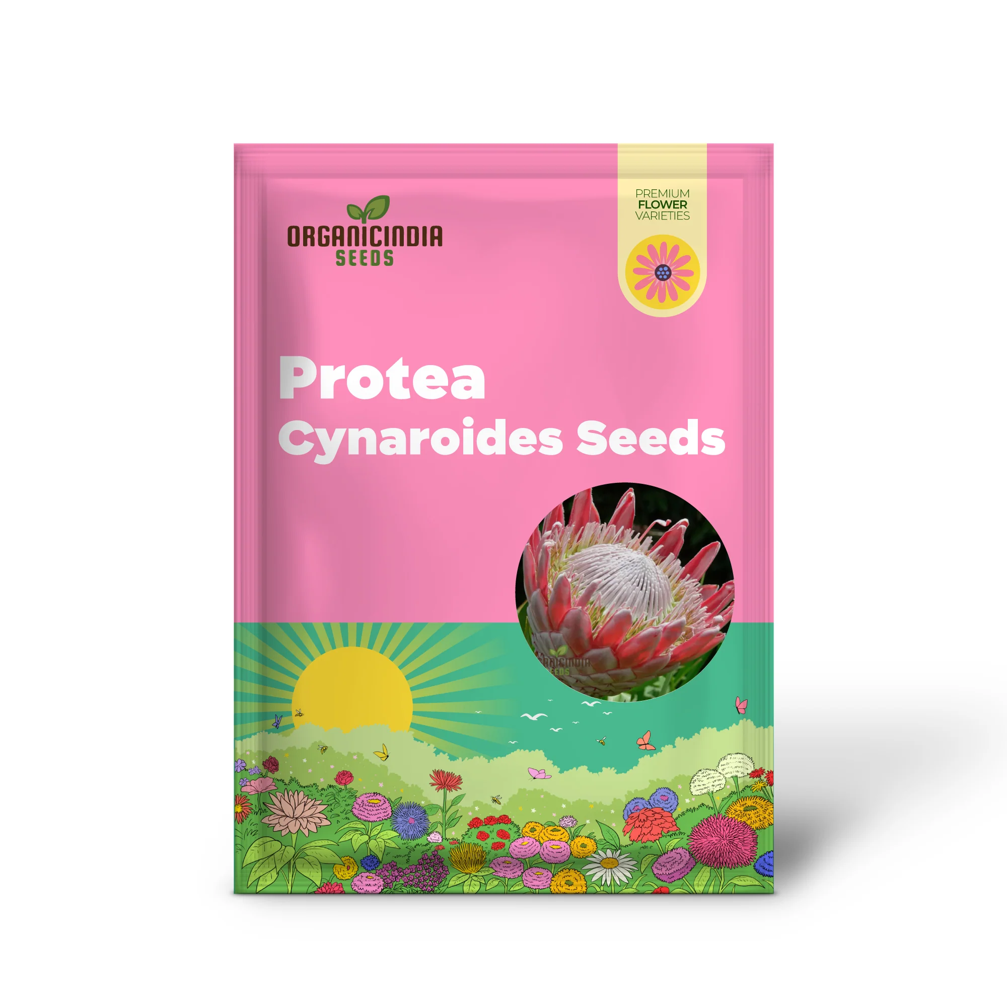 Protea Cynaroides Seeds Grow the Majestic King Protea in Your Garden - Image 2