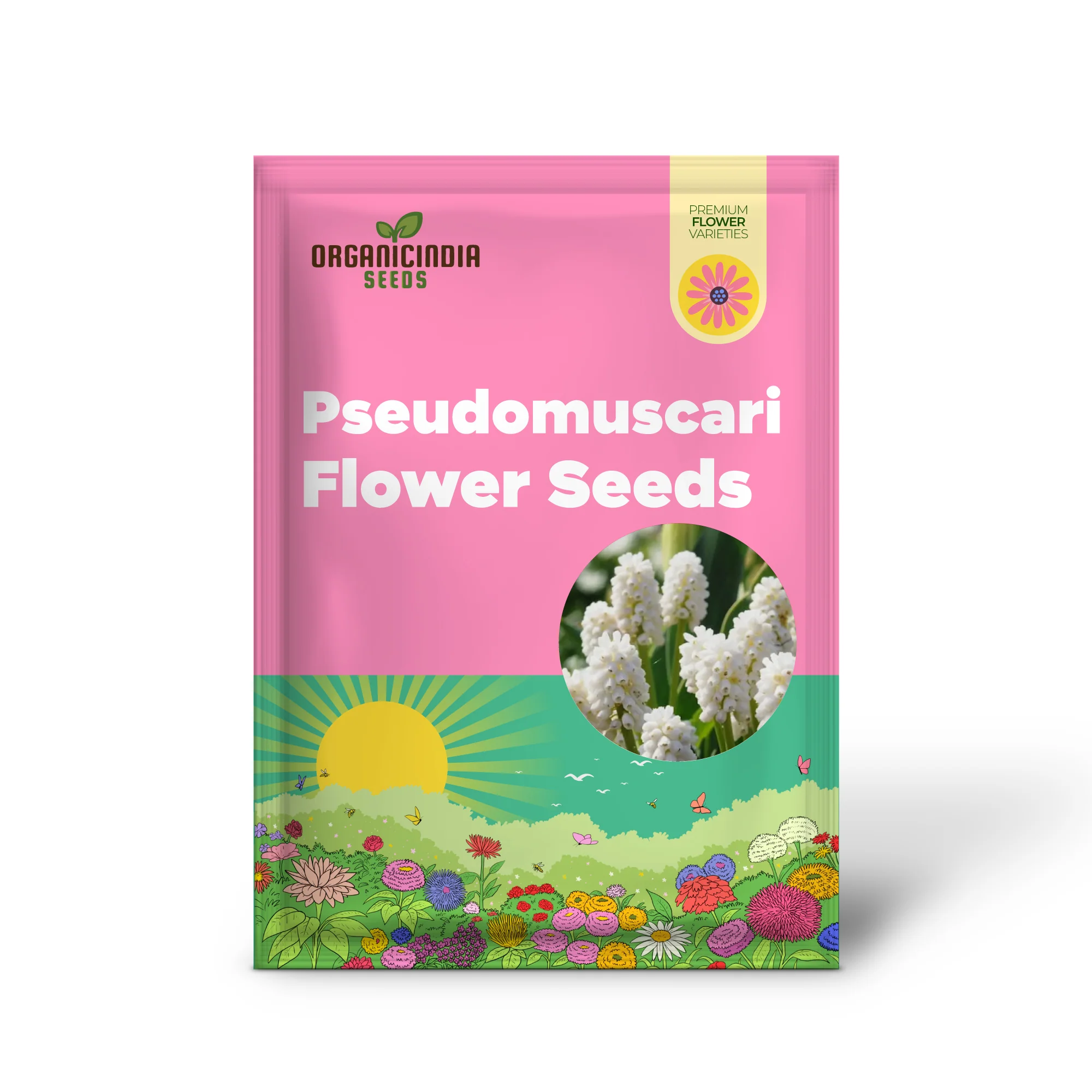 Pseudomuscari Azureum Alba Flower Seeds For Planting, Stunning Blue and White Blooms for Your Garden - Image 2