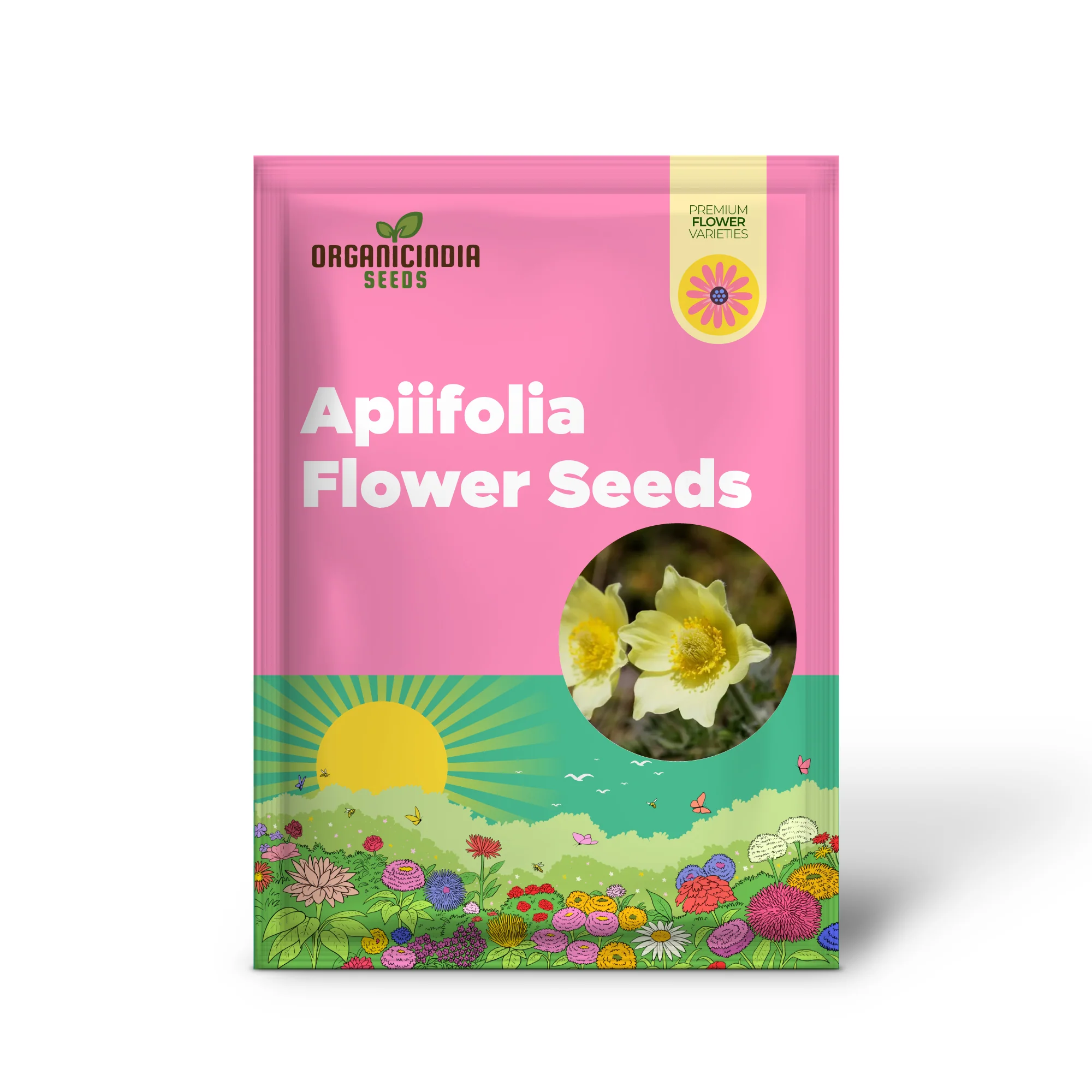 Pulsatilla Alpina Apiifolia Flower Seeds For Planting, Alpine Beauty with Delicate Blooms for Your Garden - Image 2
