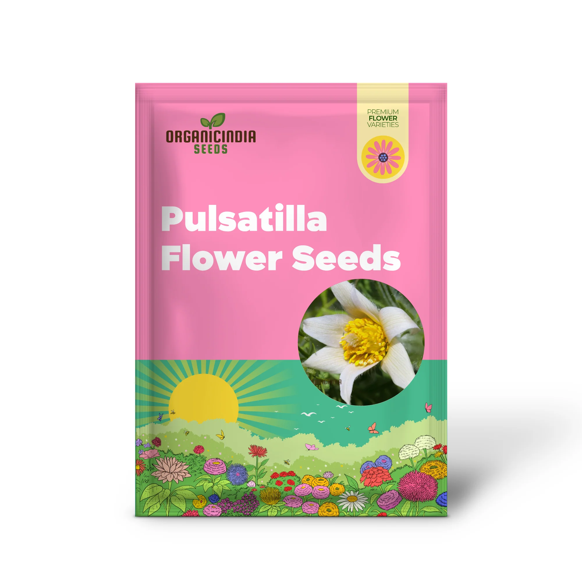 Pulsatilla 'Weisse Schwan' Flower Seeds For Planting, Elegant White Blooms for Your Garden - Image 2