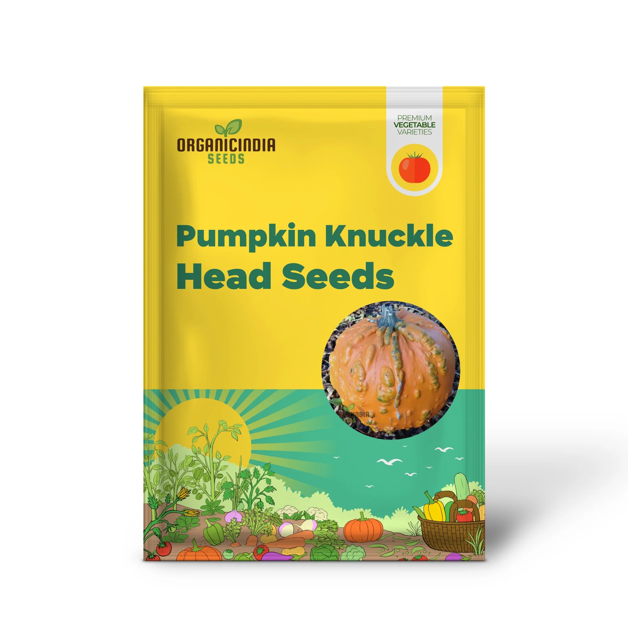 Pumpkin Knuckle Head Seeds for Planting - Image 2