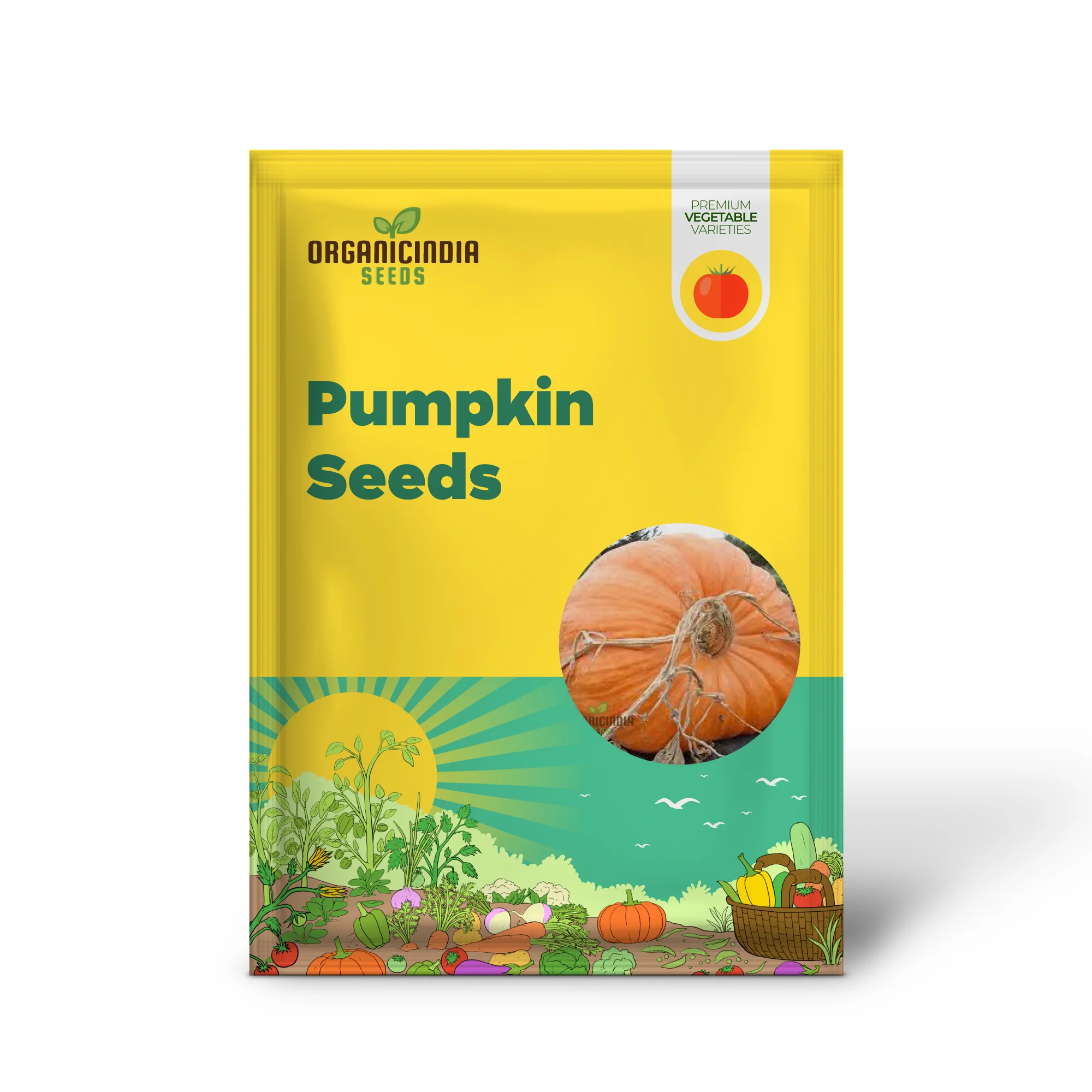 Pumpkin Seeds - Atlantic Giant | Premium Seeds for Gardening - Image 2