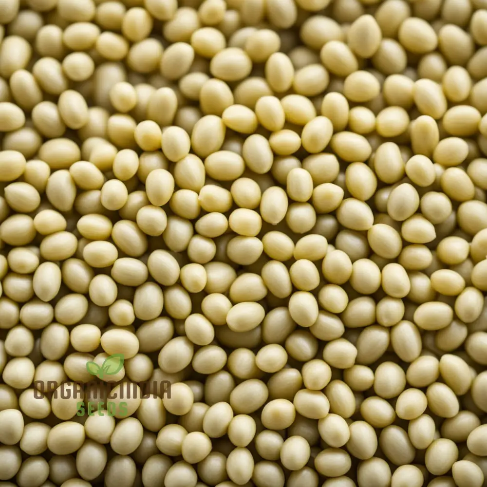 Pure Essence White Mustard Seeds – Mild Flavor, Fast-Growing Garden Variety