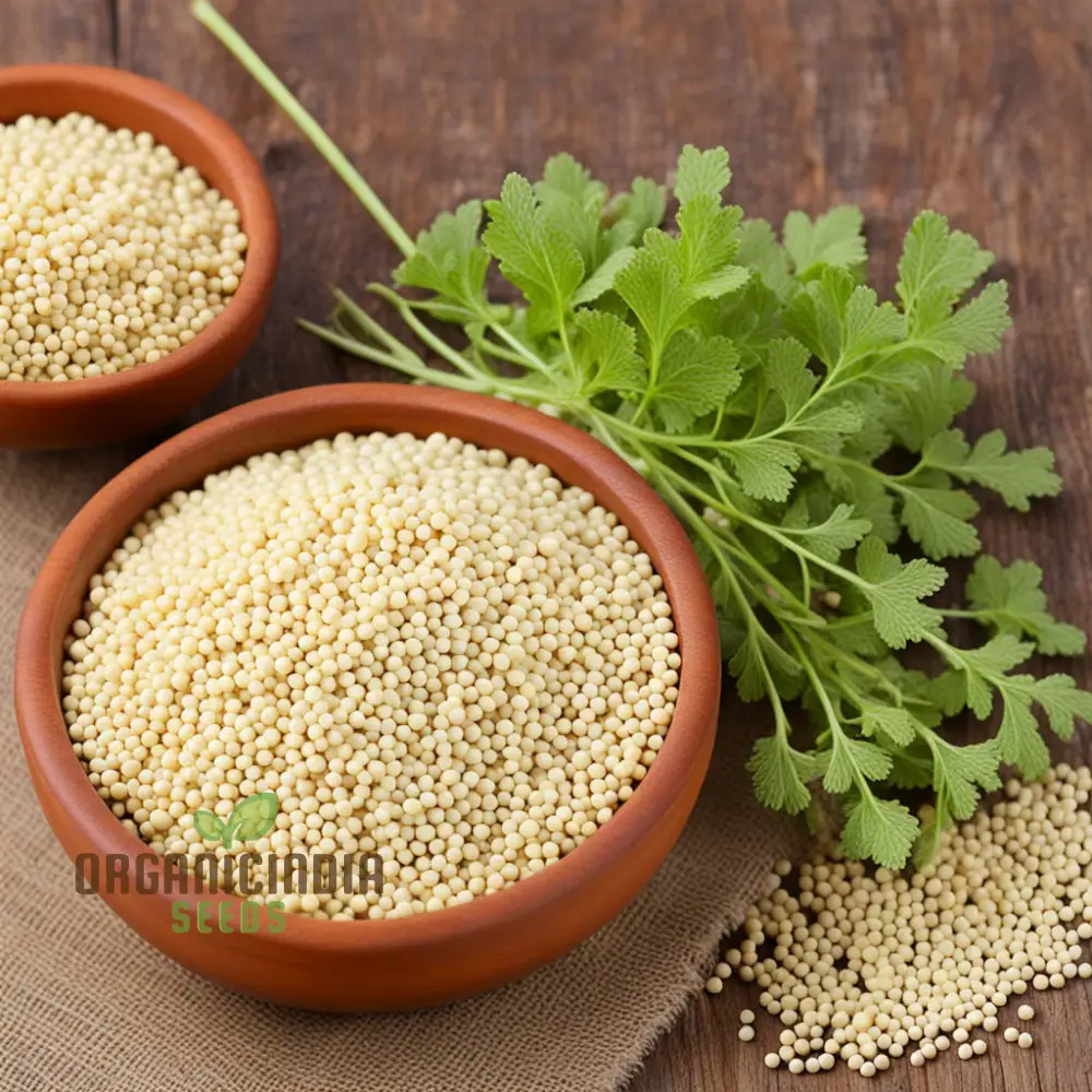 Pure Essence White Mustard Seeds – Mild Flavor, Fast-Growing Garden Variety - Image 3
