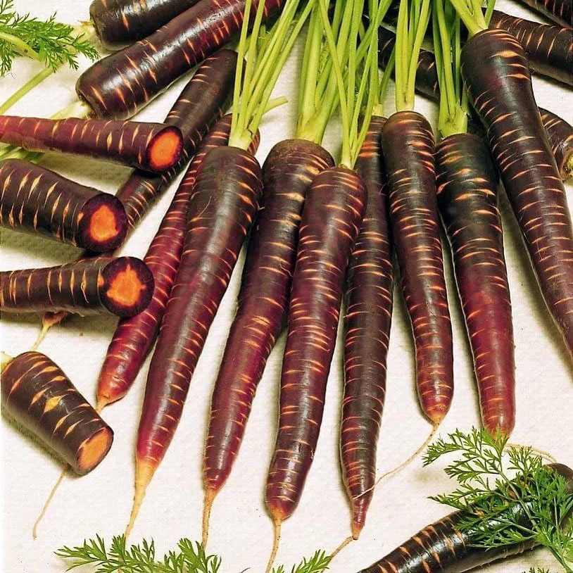 Purple Haze Carrot Seeds – Unique Heirloom Variety for Vibrant Harvests - Image 2