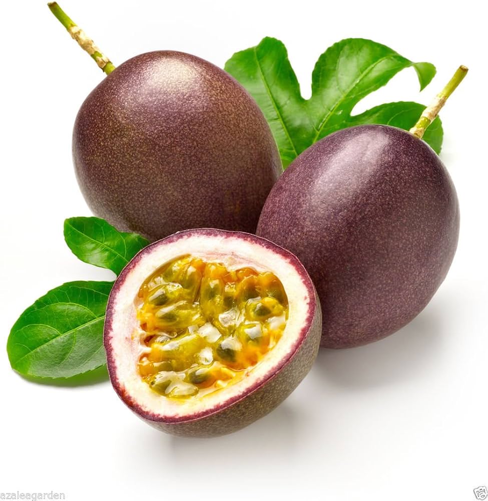Purple Passion Fruit Seeds - Image 3