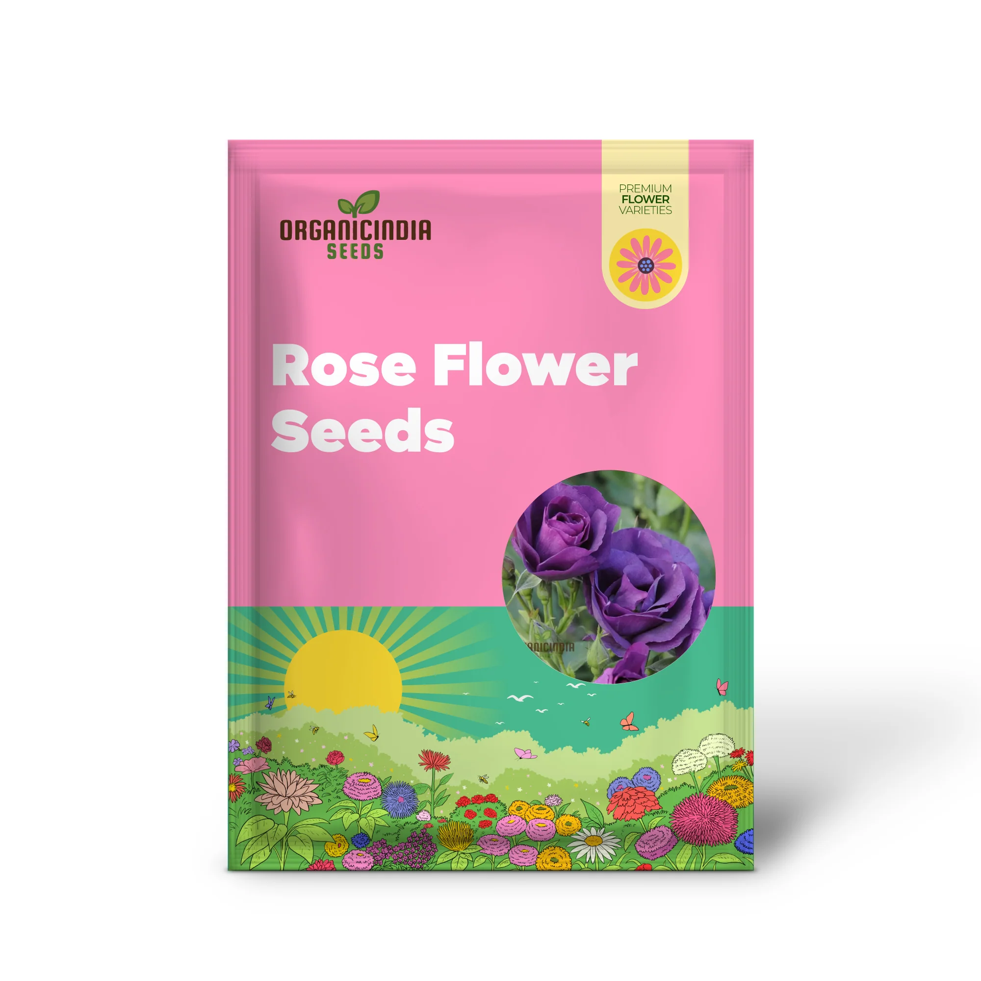 Purple Rose Flower Seeds for Planting, Stunning Garden Blooms, High Quality Rose Seeds for a Beautiful Flower Garden - Image 2