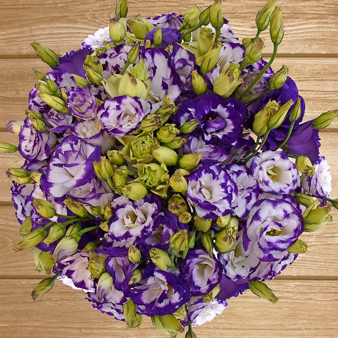 Purple White Lisianthus Seeds – Premium Garden Flower Variety - Image 3
