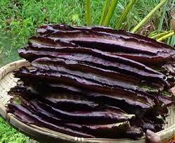 Purple Winged Bean Vegetable Seeds - Exotic and Nutritious Additions to Your Garden - Image 5