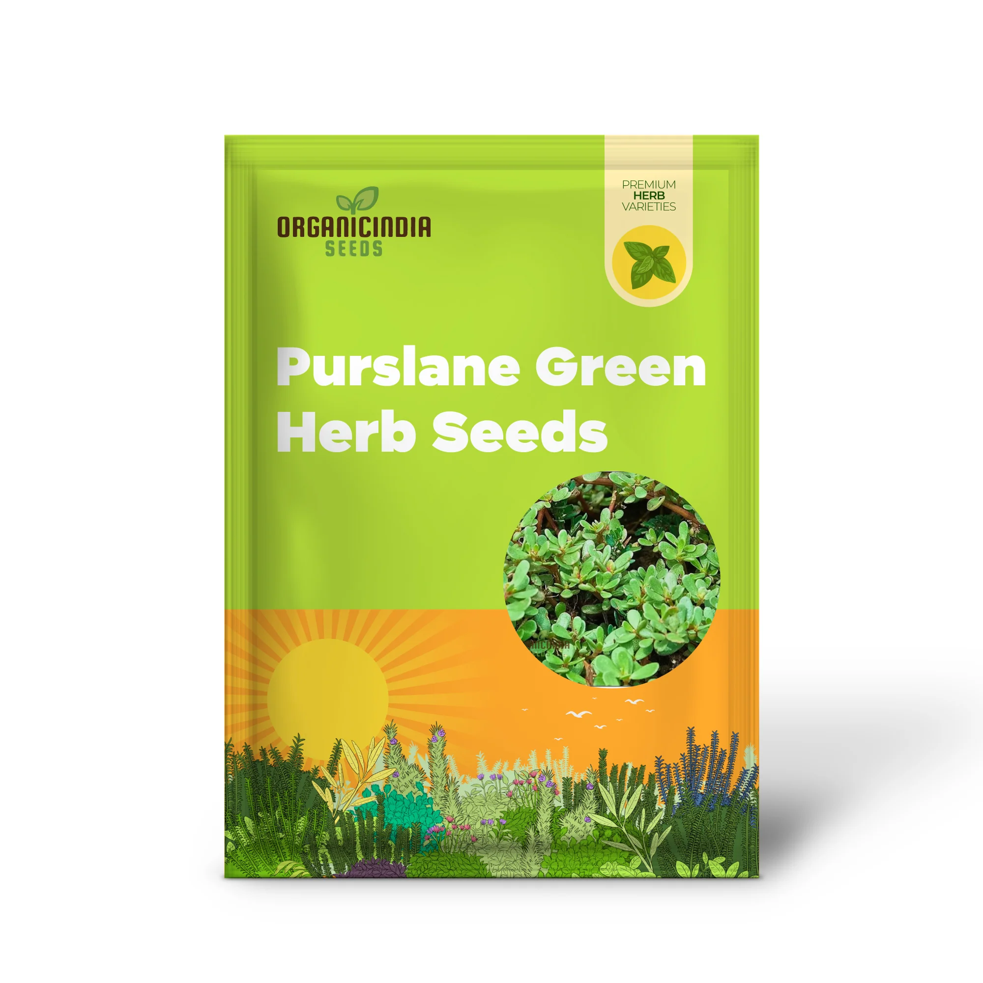 Purslane Green Herb Seeds – Premium Non-GMO Seeds for Home Gardening & Planting - Image 2