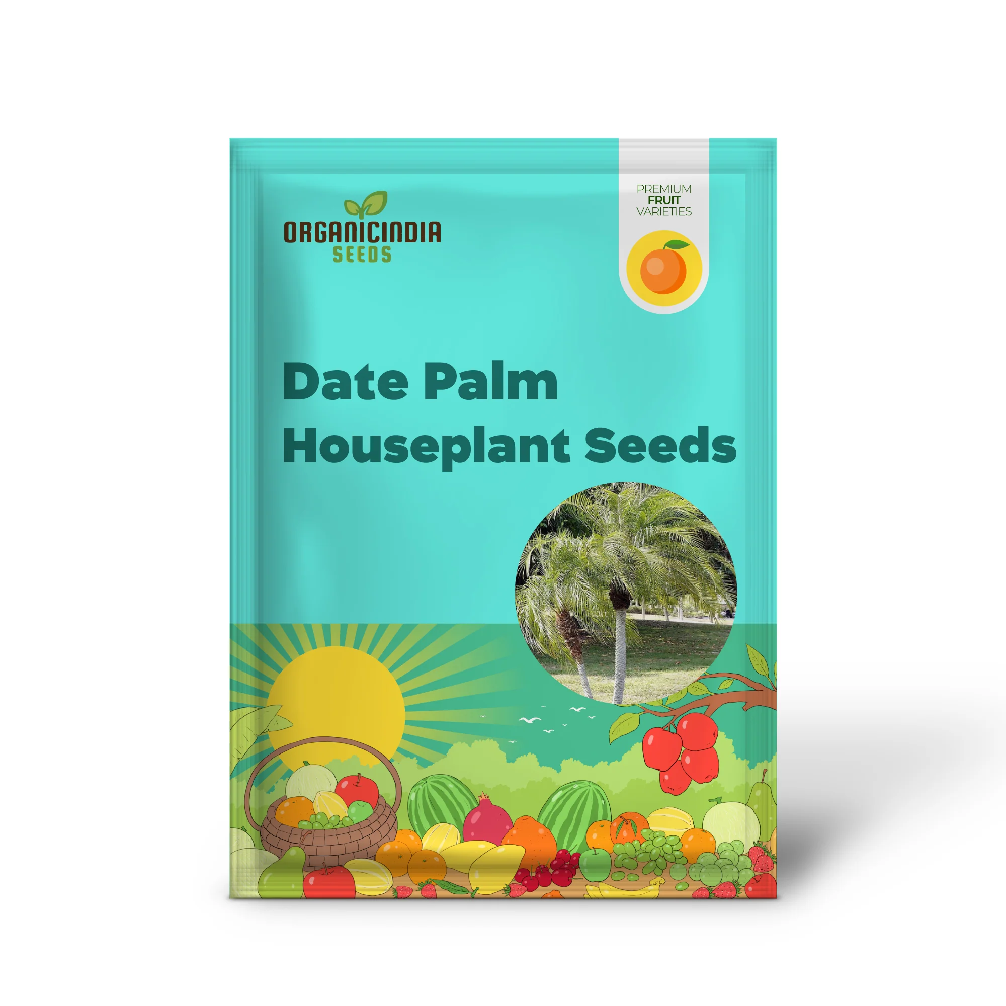 Pygmy Date Palm House Plant Seeds - Image 2