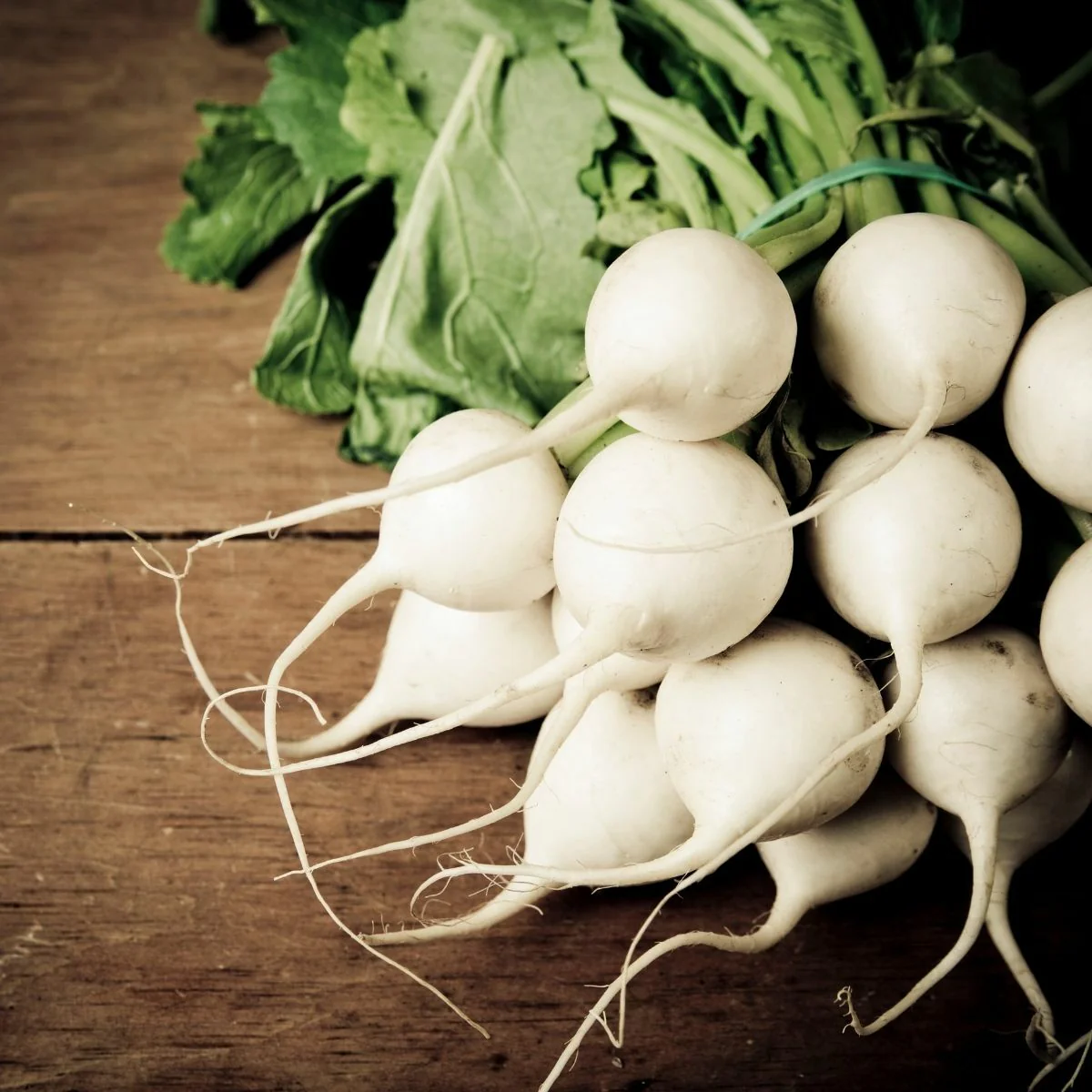 RADISH ALBENA Seeds for Planting - Premium Quality for Gardening Enthusiasts | Buy Organic Seeds Online - Image 3