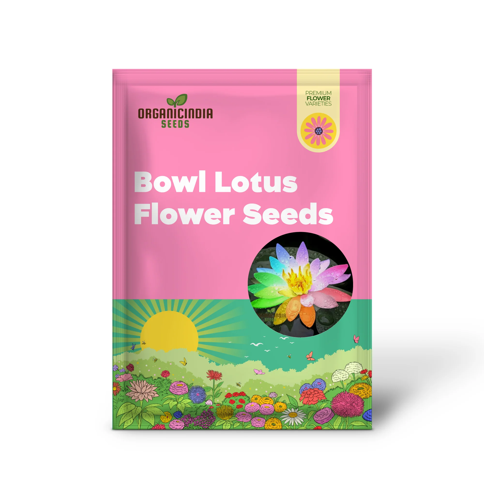 Rainbow Bowl Lotus Aquatic Flower Seeds for Planting,Premium Gardening Seeds - Image 2