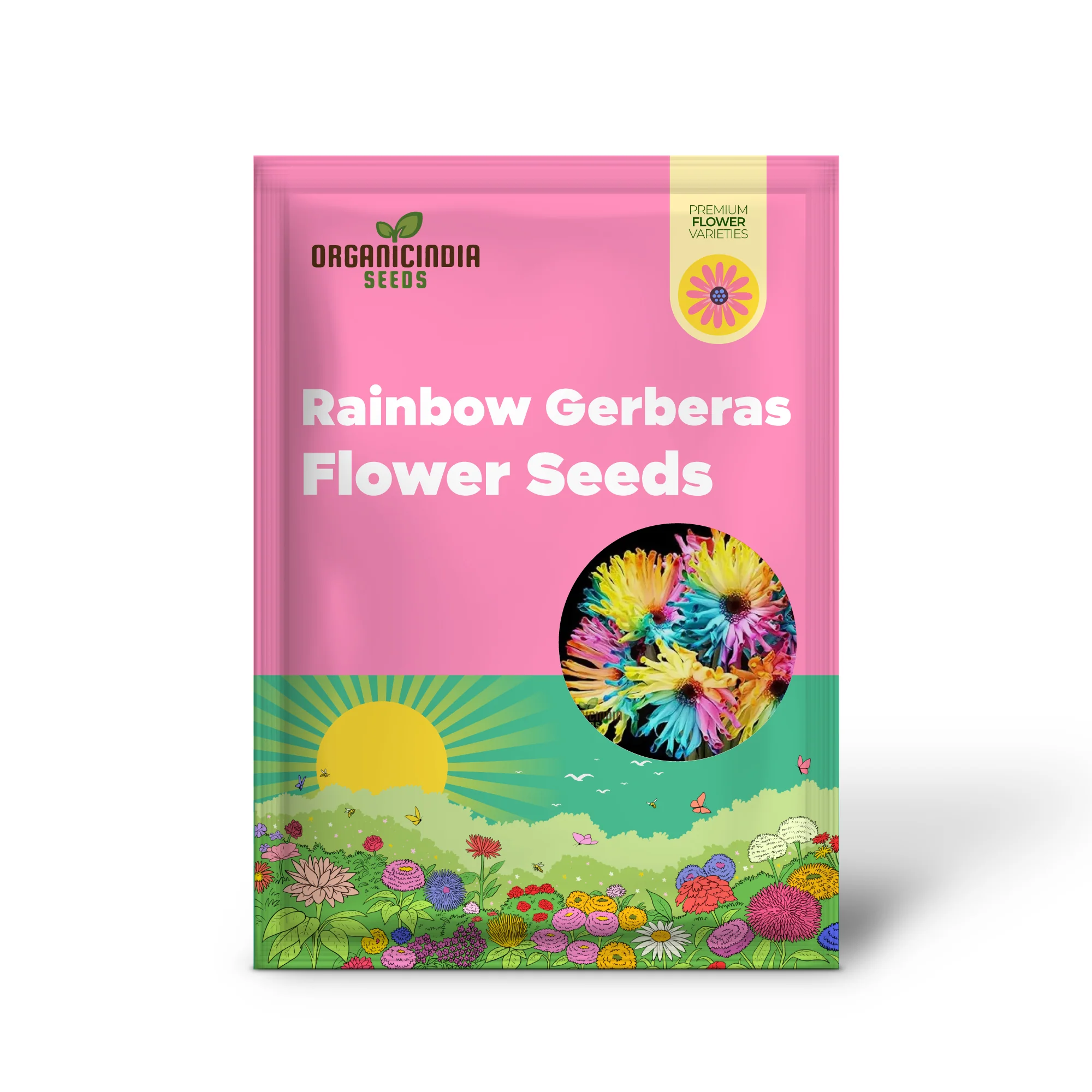 Rainbow Gerberas Exotic Flower Seeds for Planting, Cultivating a Stunning Array of Colorful Blooms in Your Garden - Image 2