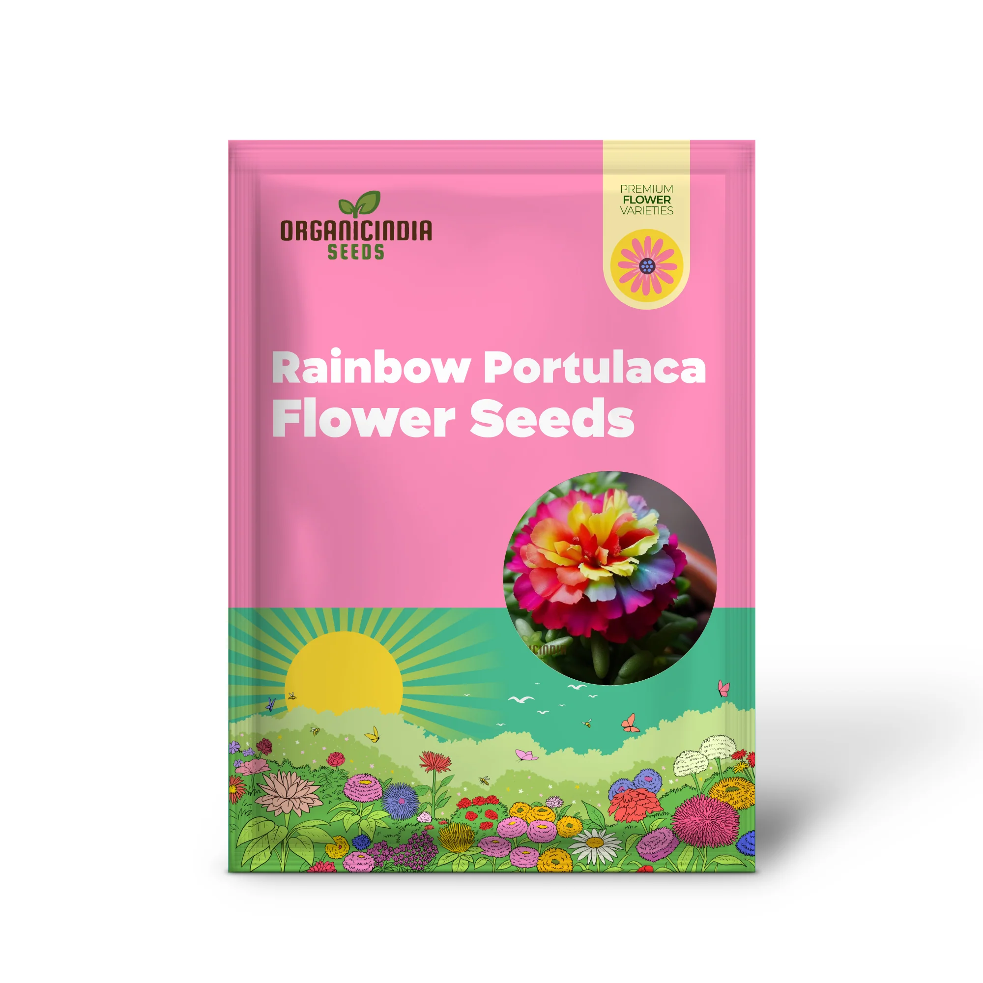 Rainbow Portulaca Flower Seeds, Expert Planting and Gardening Guide for a Colorful Bloom - Image 2