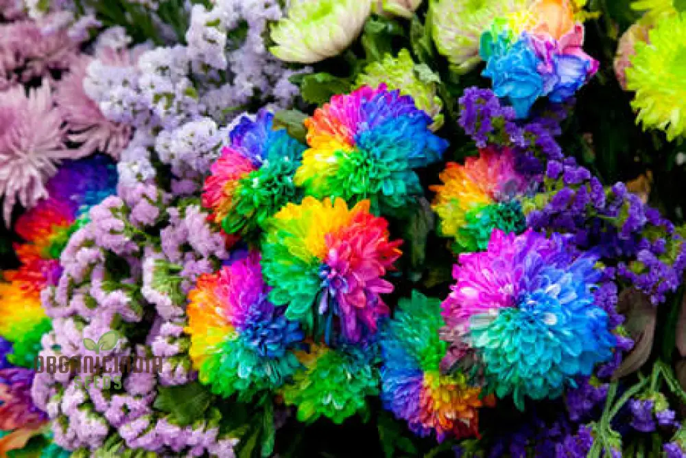 Rainbow Portulaca Flower Seeds, Expert Planting and Gardening Guide for a Colorful Bloom - Image 4