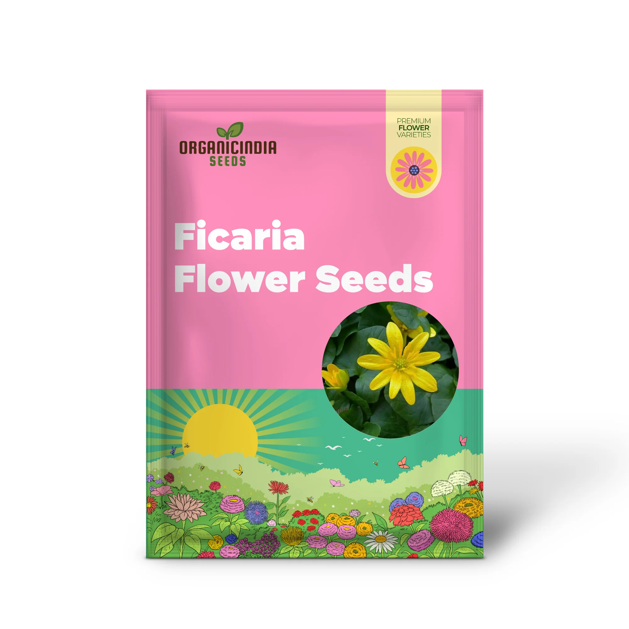 Ranunculus Ficaria Flower Seeds For Planting, Bright and Cheerful Blooms for Your Garden - Image 2