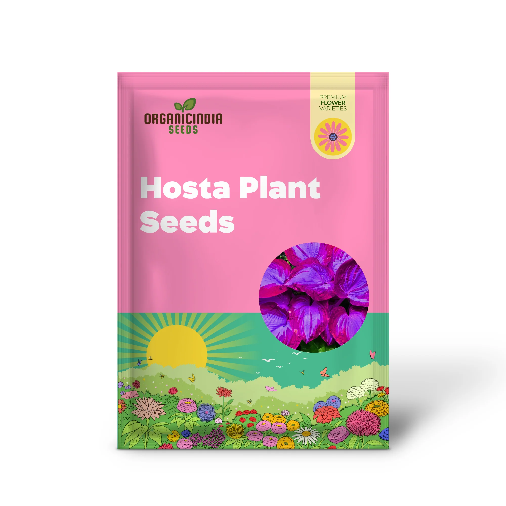Rare Blue And Purple Hosta Seeds, Easy to Grow Perennial Shade Garden Beauties - Image 2