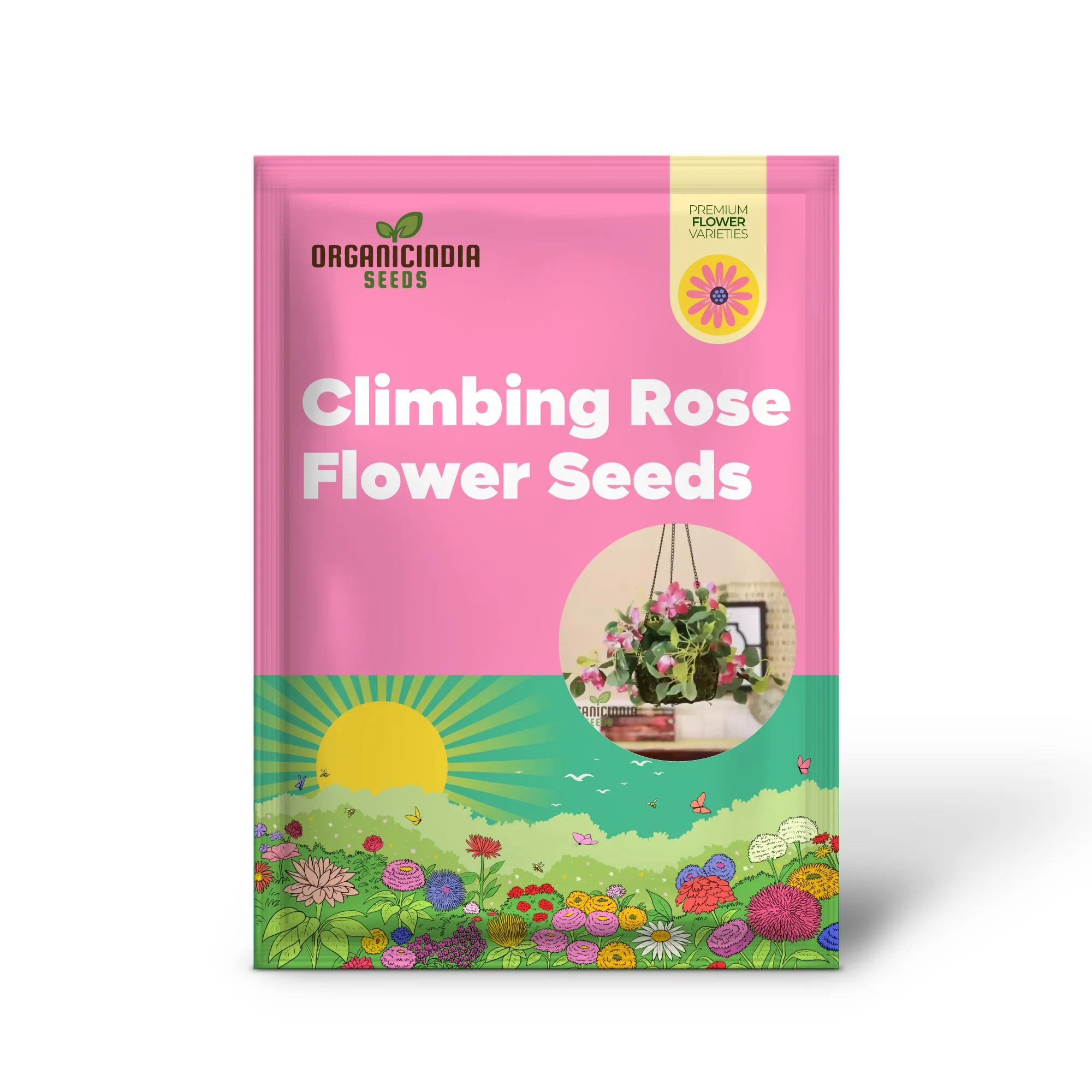Rare Climbing Rose Seeds – Vigorous Vertical Garden Blooms - Image 2