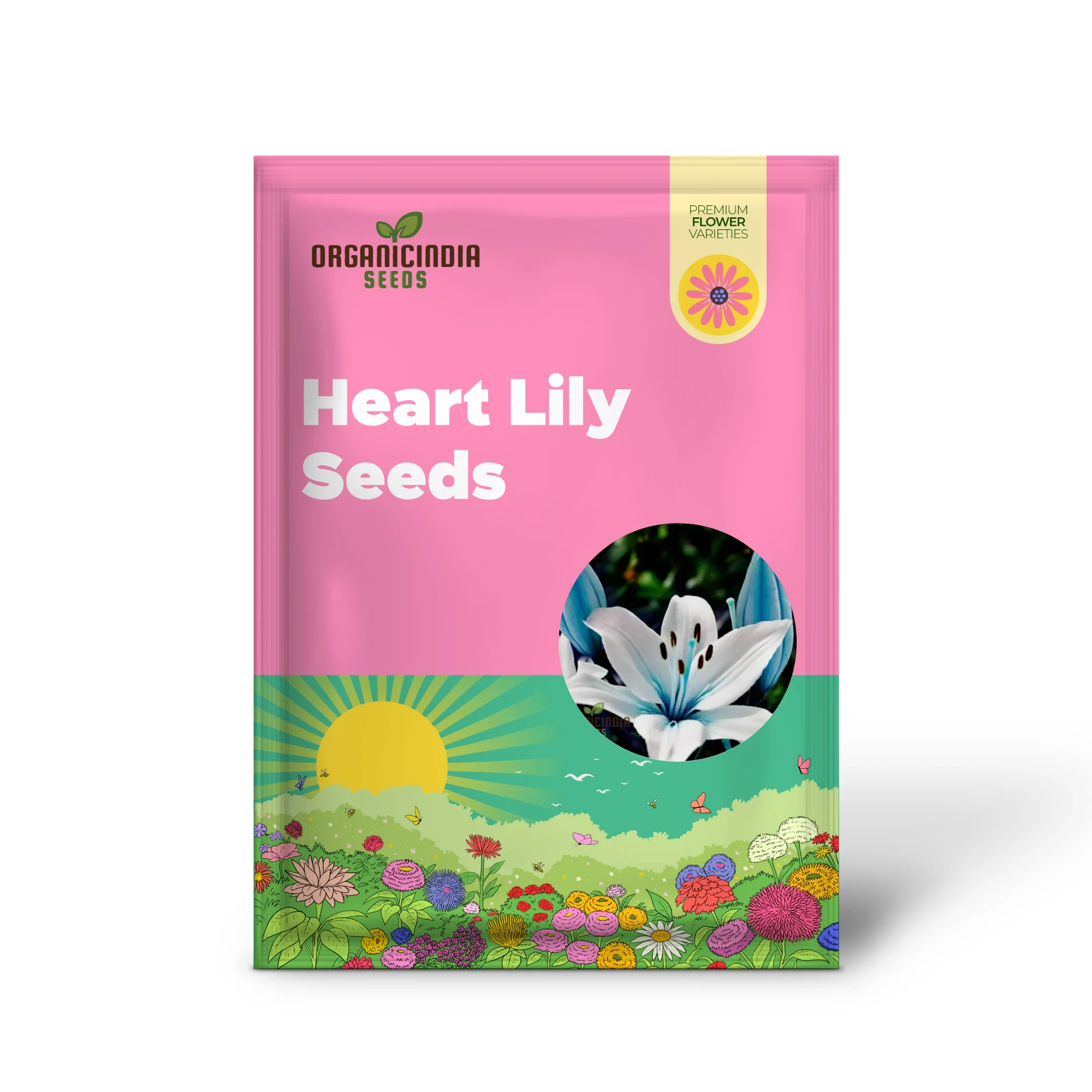 Rare Exotic Blue Heart Lily Seeds for Planting - Image 2