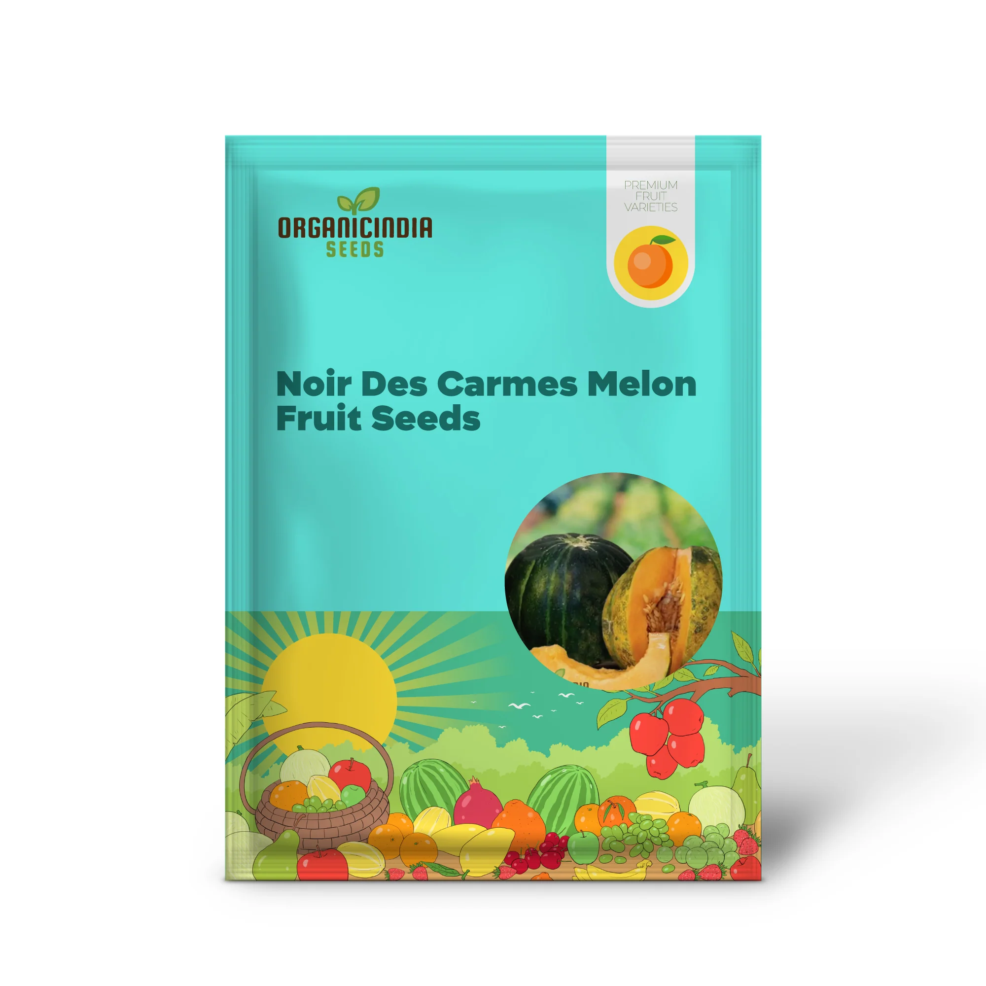 Rare Noir Des Carmes Melon Seeds For Planting: Exquisite Heirloom for Your Garden's Summertime Splendor - Image 2