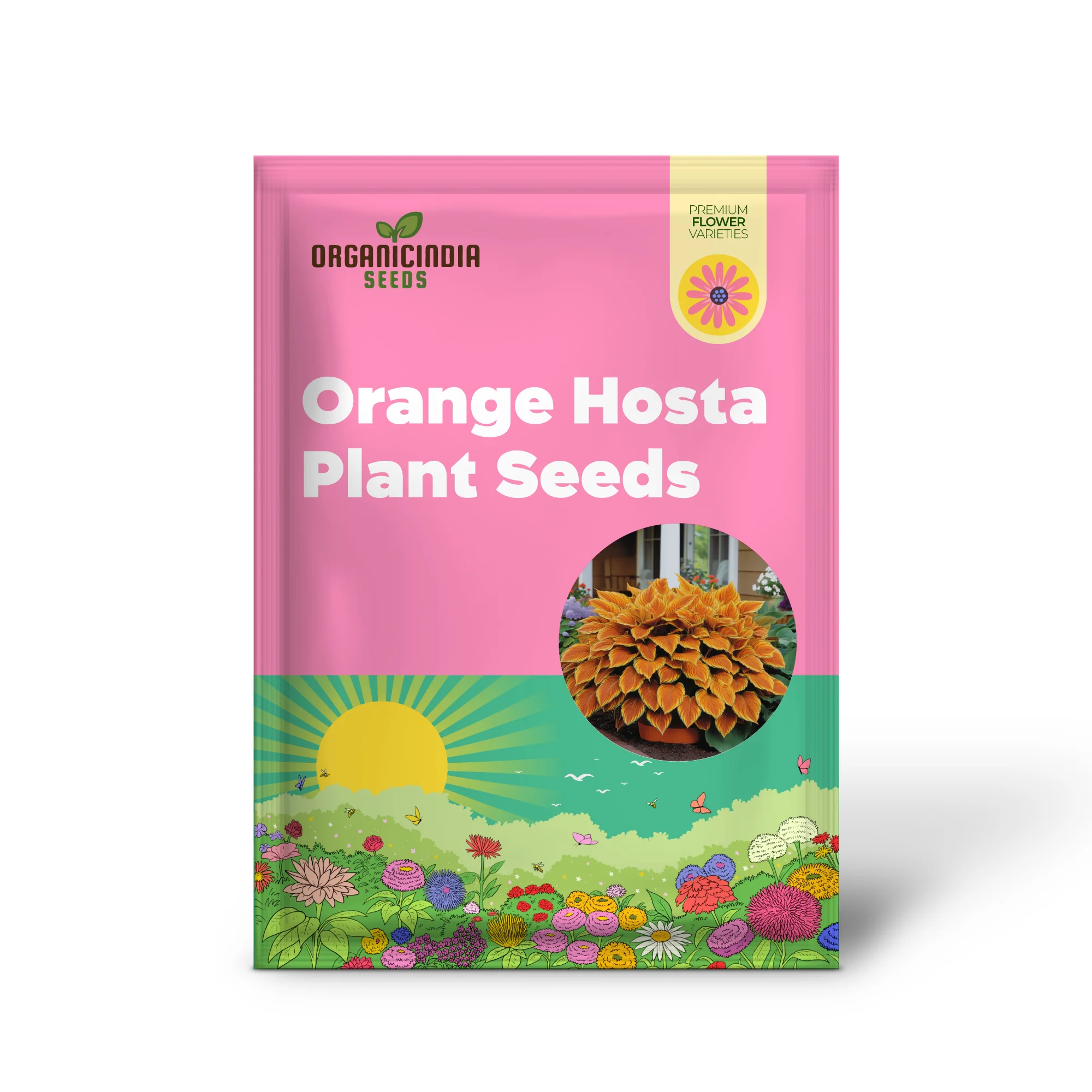 Rare Orange Hosta Plant Seeds Unique and Vibrant Shade Garden Perennial - Image 2