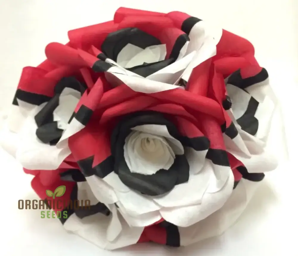 Rare Red White Black Hybridization Rose Flower Seeds | Home Plant Garden Decor | Flowers Seeds for Gardening Enthusiasts - Image 3
