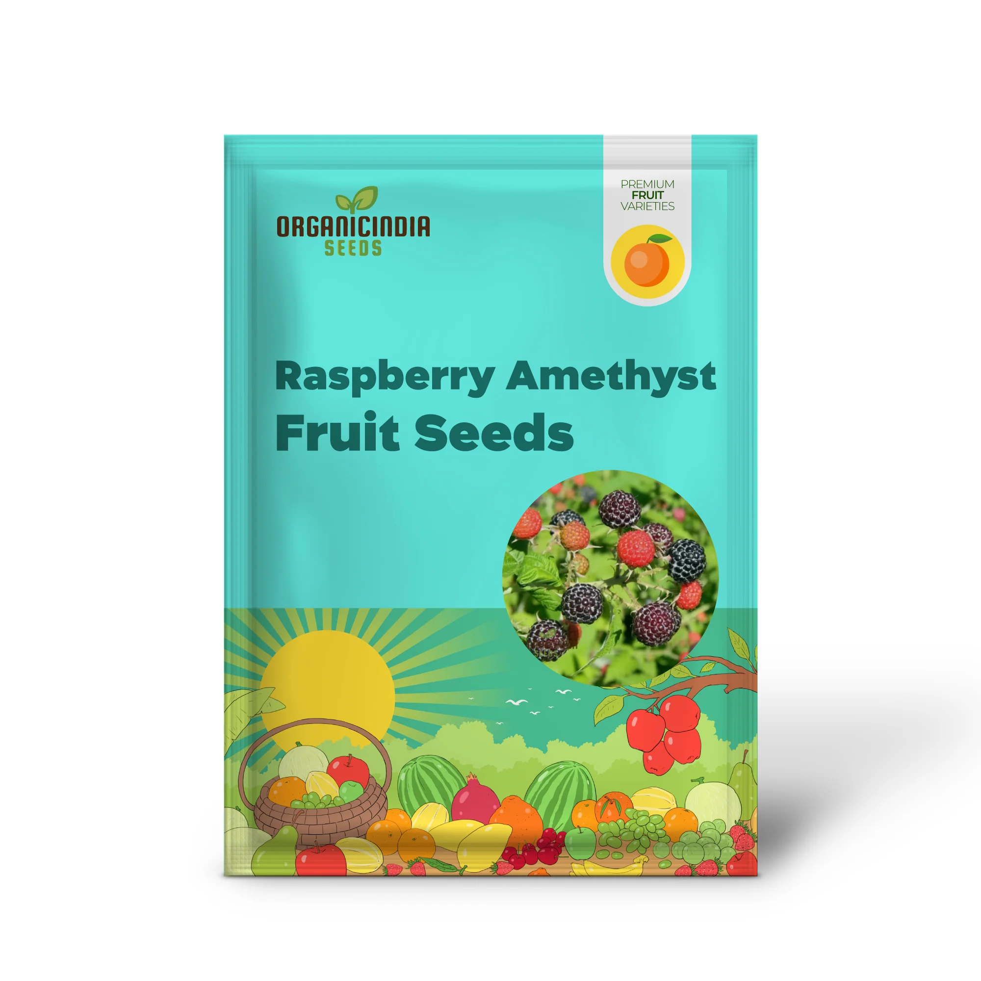 RASPBERRY AMETHYST Fruit Seeds for Planting for Your Gardening Adventures - Image 2